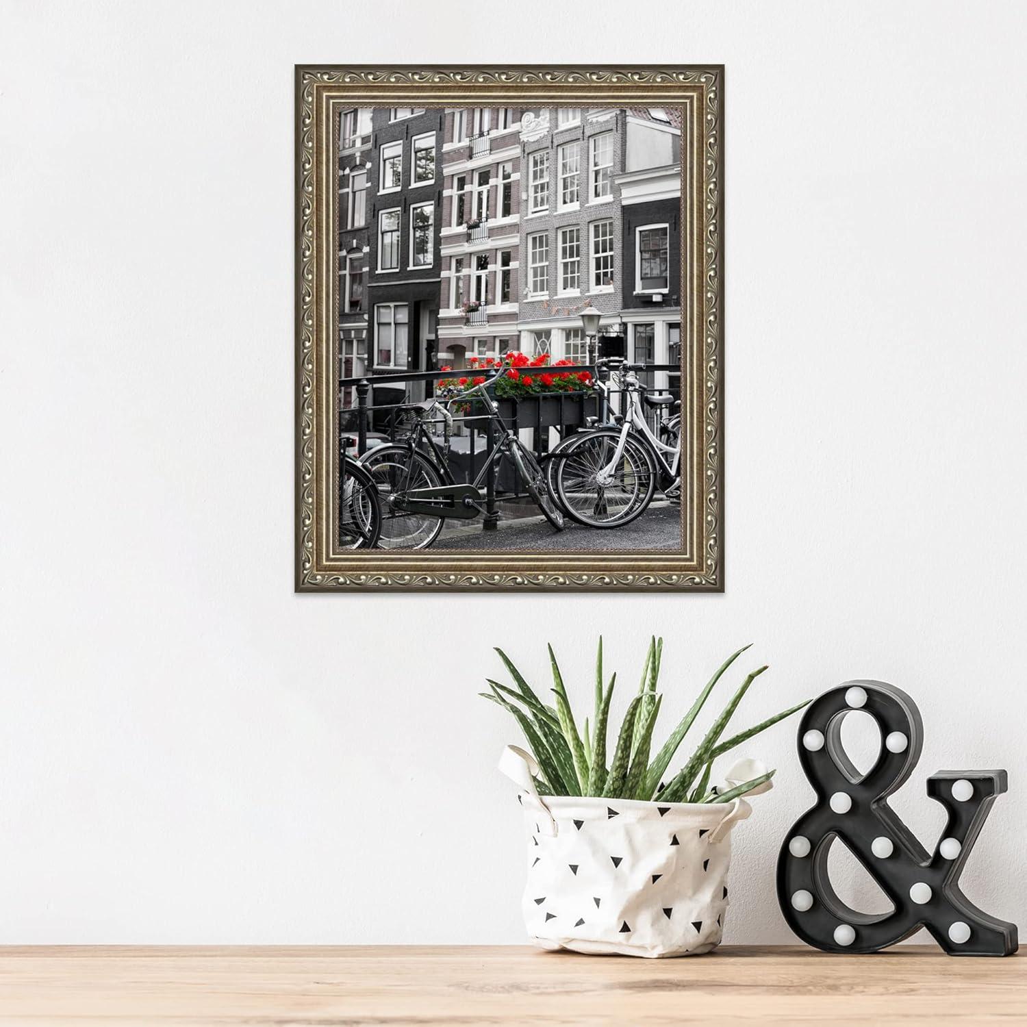 Amanti Art Parisian Silver Wood Picture Frame