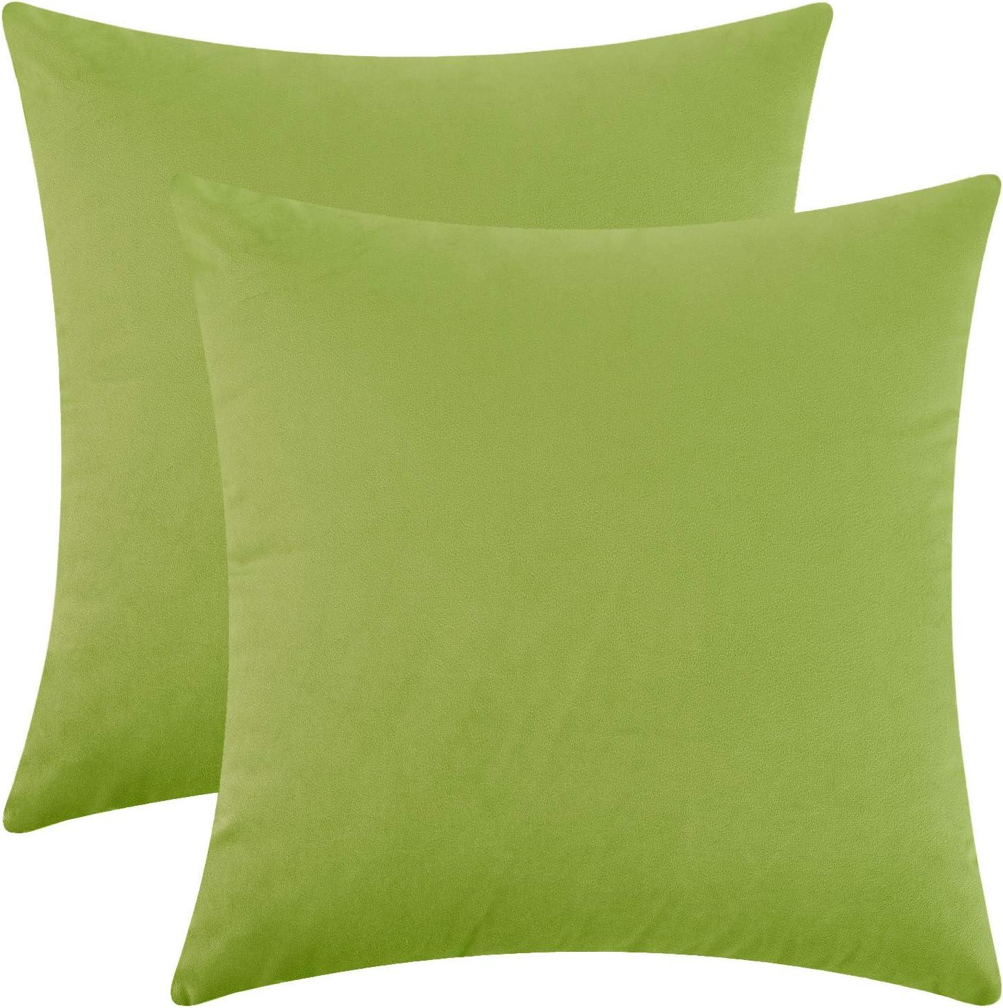 Cterwk Pack of 2 Velvet Decorative Throw Pillow Covers Soft Solid Square Cushion Cover Pillow for Living Room, Bedroom, Office, 20 x 20 inches