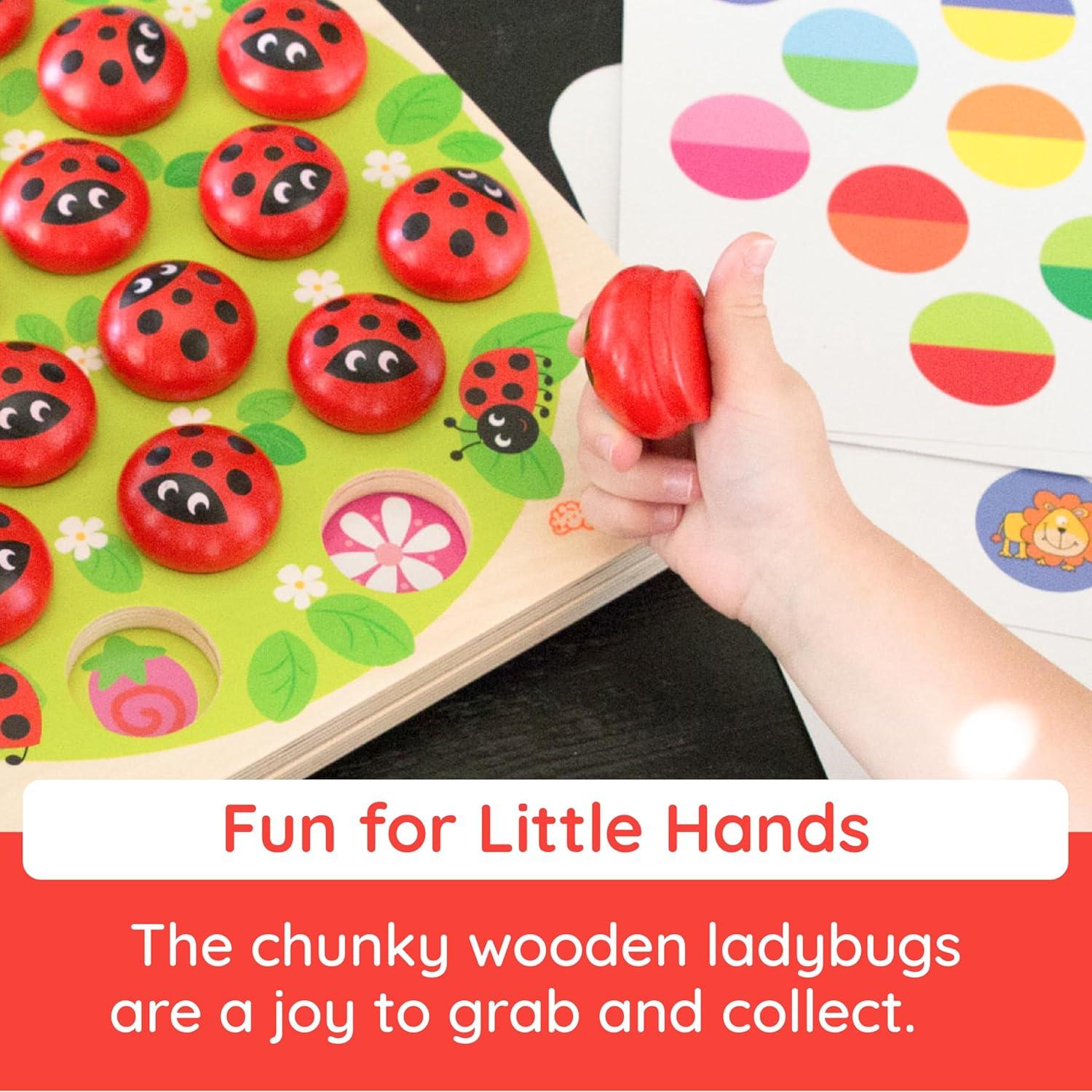 Fat Brain Toys Ladybugs Garden Memory Game FB256-1