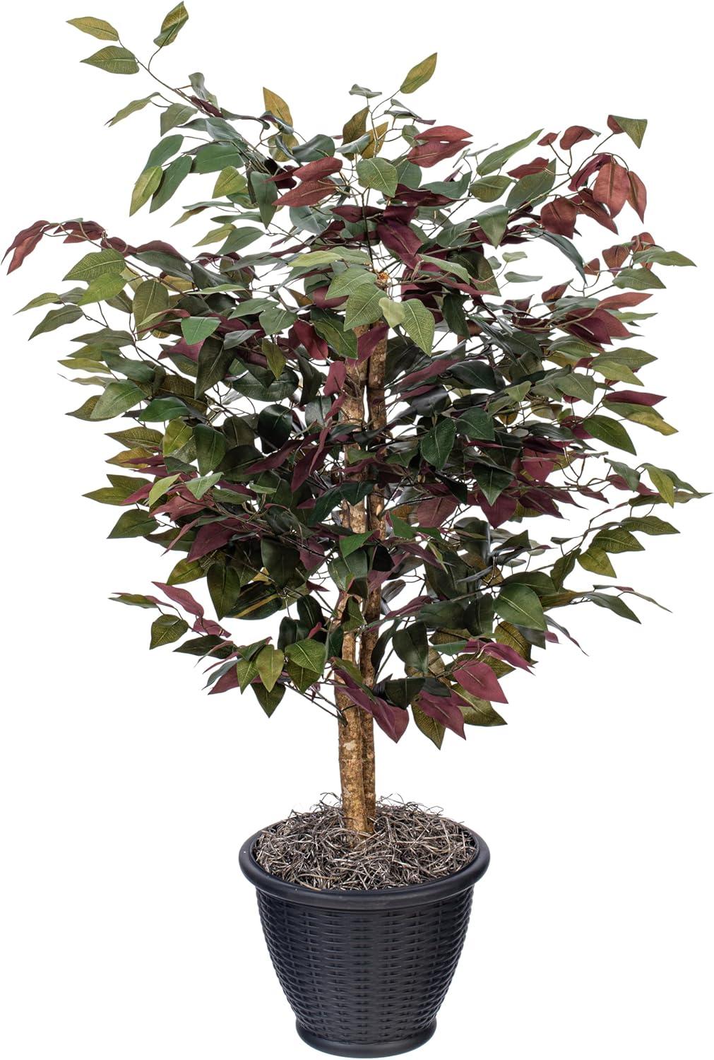 Vickerman 4' Artificial Capensia Bush, Gray Round Plastic Container. In a 12"Lx12"Wx9"H base.