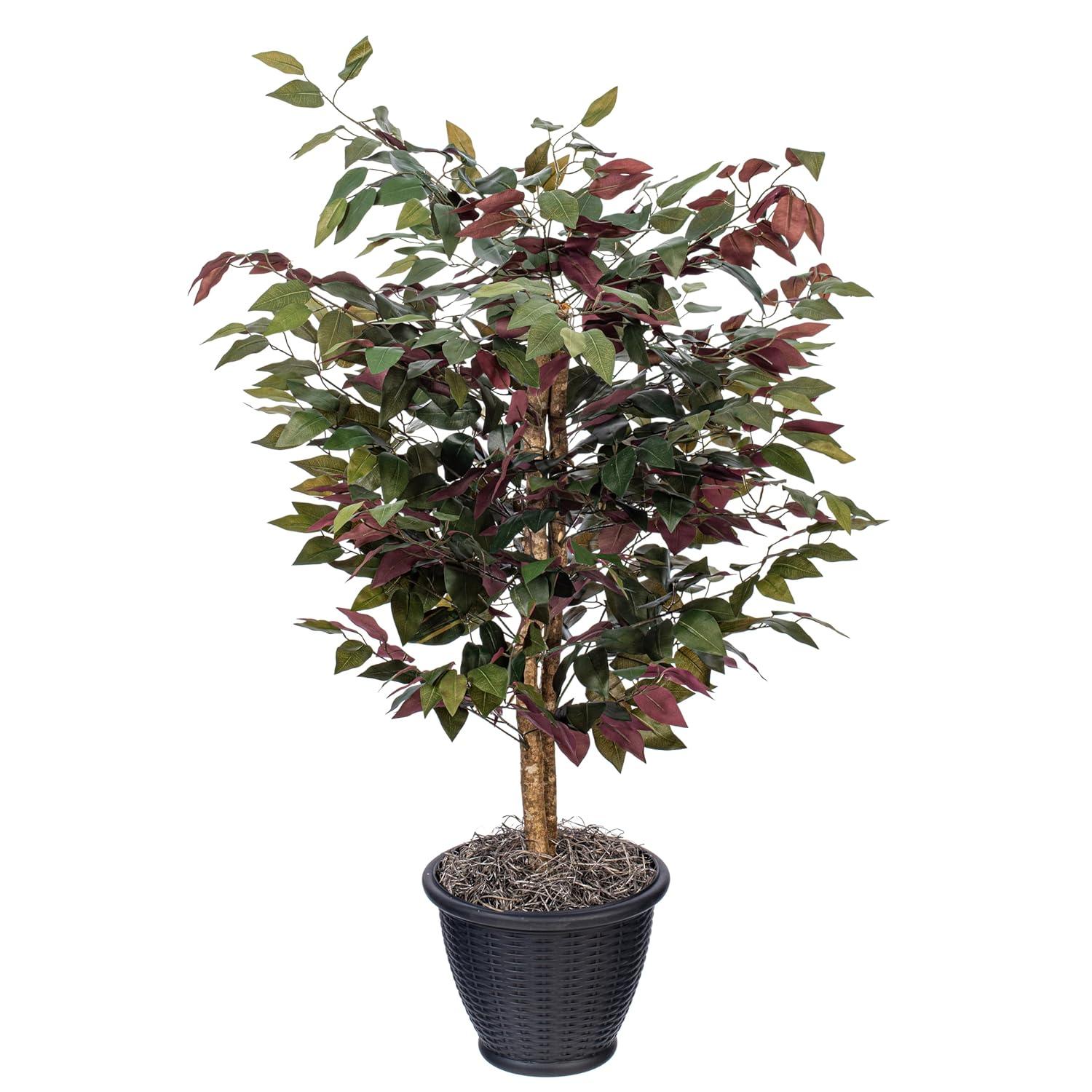 Vickerman 4' Artificial Capensia Bush, Gray Round Plastic Container. In a 12"Lx12"Wx9"H base.