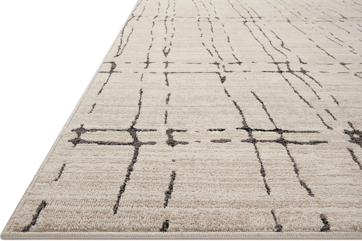 Loloi II Darby Sand / Dk. Grey 4'-0" x 6'-0" Accent Rug