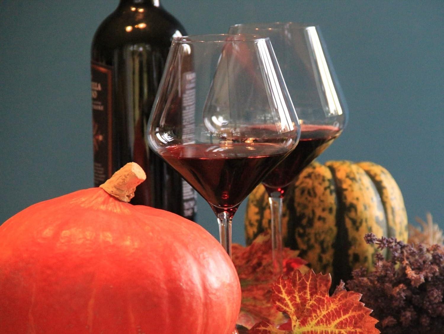 Elegant Clear Crystal Conical Wine Glasses Set of 6