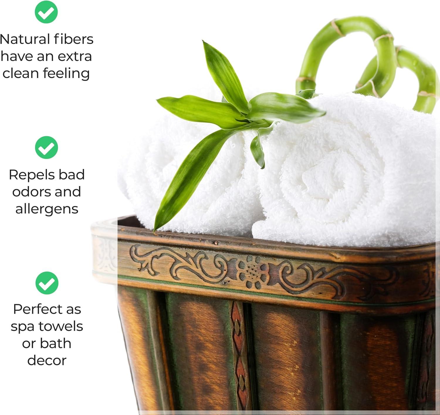 Superior Rayon from Bamboo Soft Modern 12-Piece Towel Set, Ivory