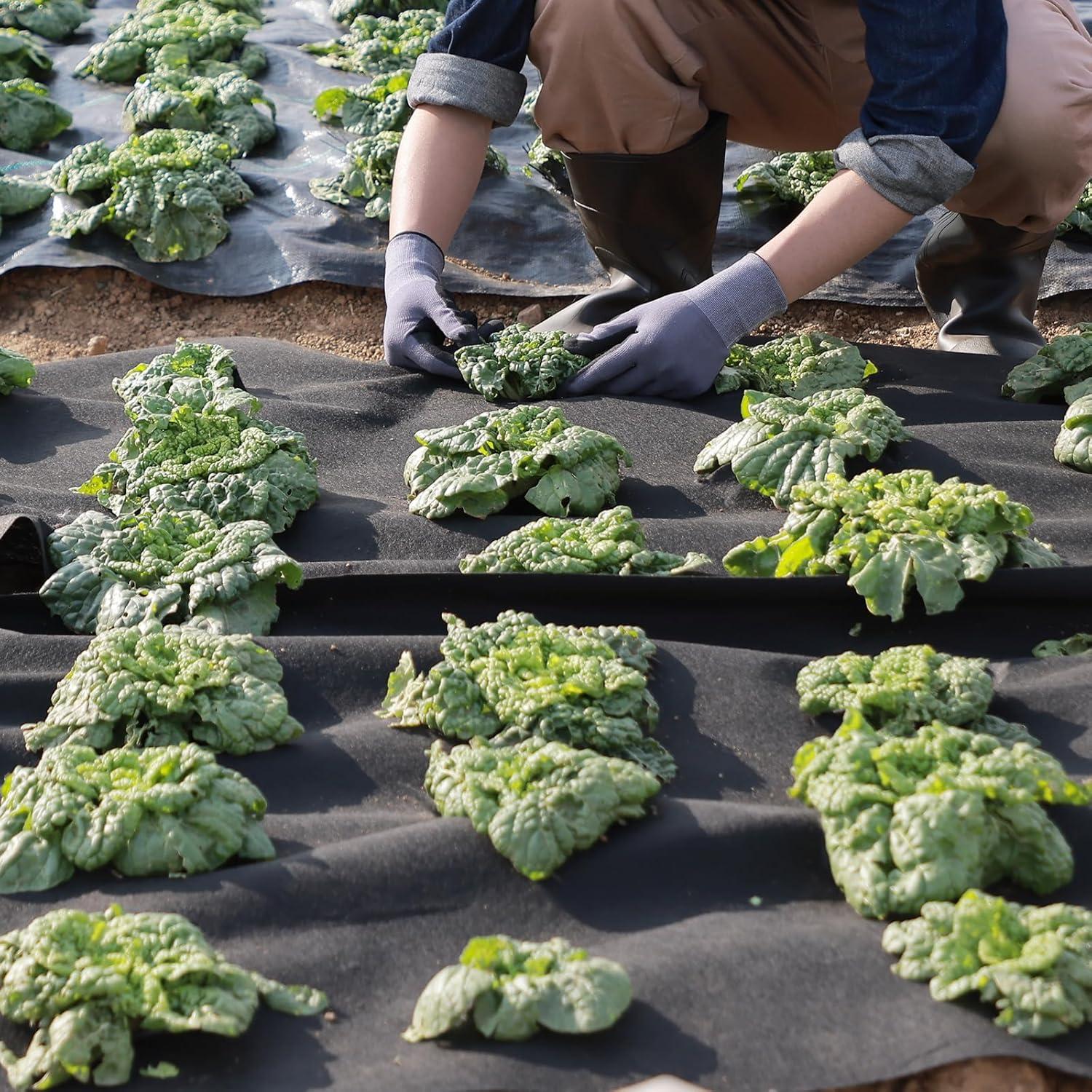 VEVOR 6FTx100FT Non-Woven Geotextile Heavy Duty 8oz Driveway Underlayment for Gravel, Ground Cover, Garden Weed Barrier, Drainage Fabric, Landscaping, Black