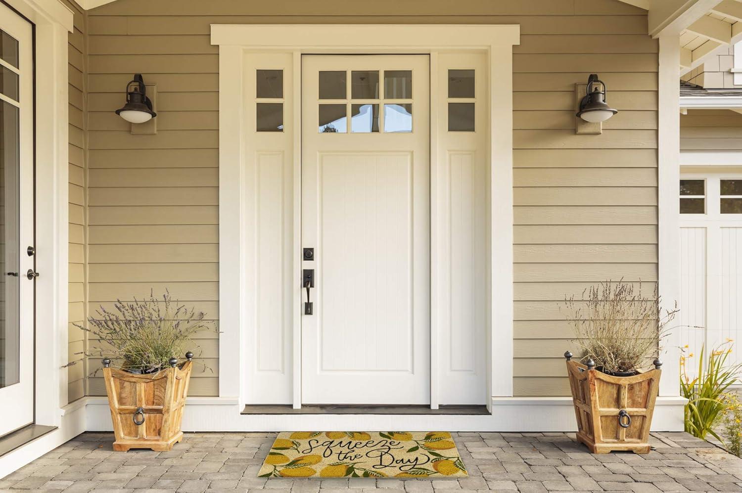 DII Natural Coir Doormat, Fun Greeting Mat, Squeeze The Day, 17x29"