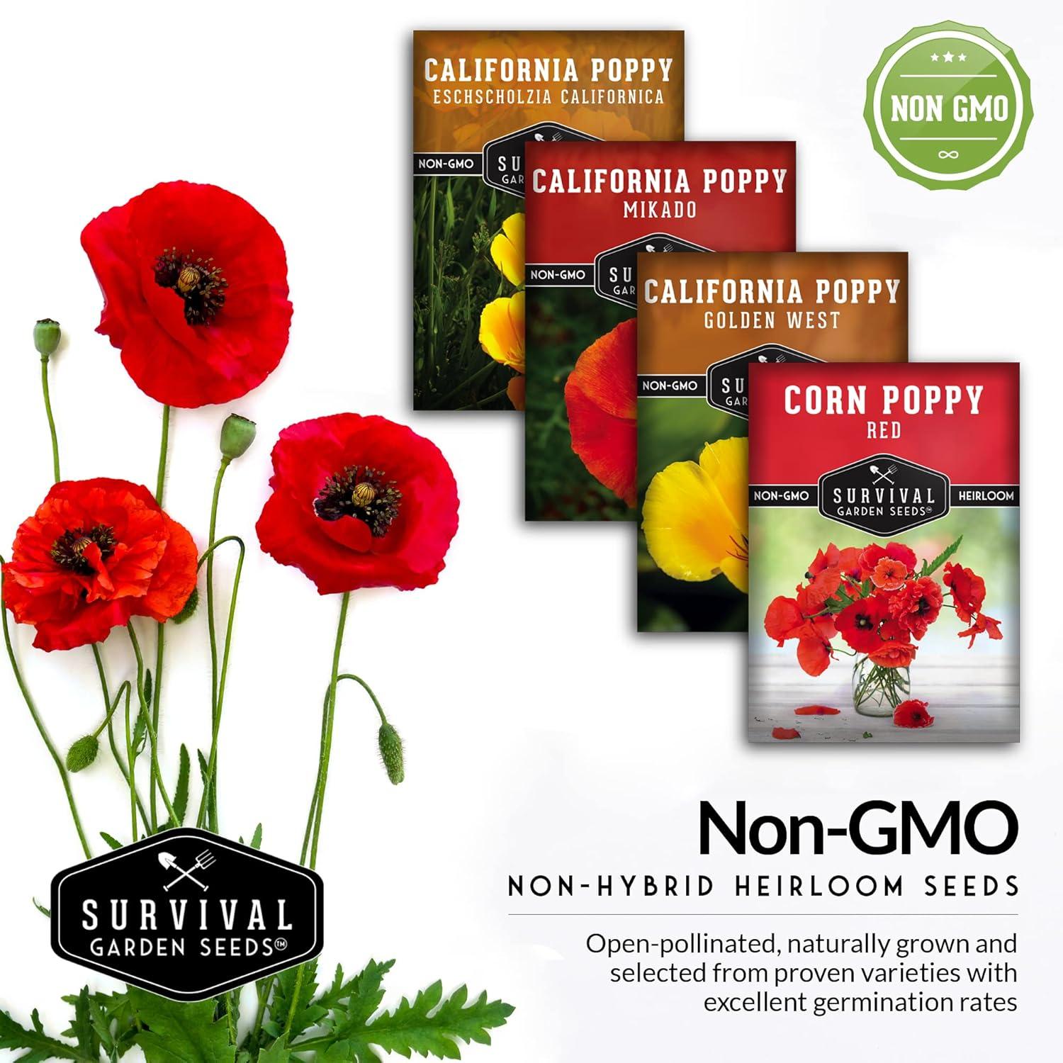 4 Packs Poppy Flower Seed - California, Golden West, Mikado, Red Corn - Full Sun Annual