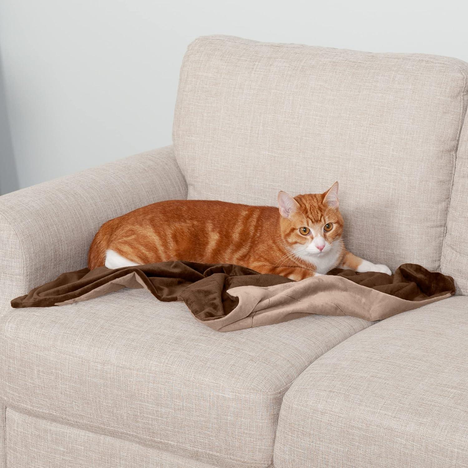 FurHaven Waterproof Faux Velvet Throw Blanket