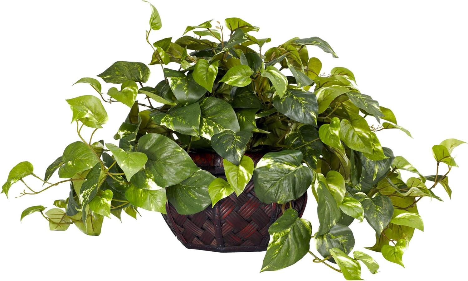 17.5" Green Silk and Plastic Pothos Tabletop Arrangement