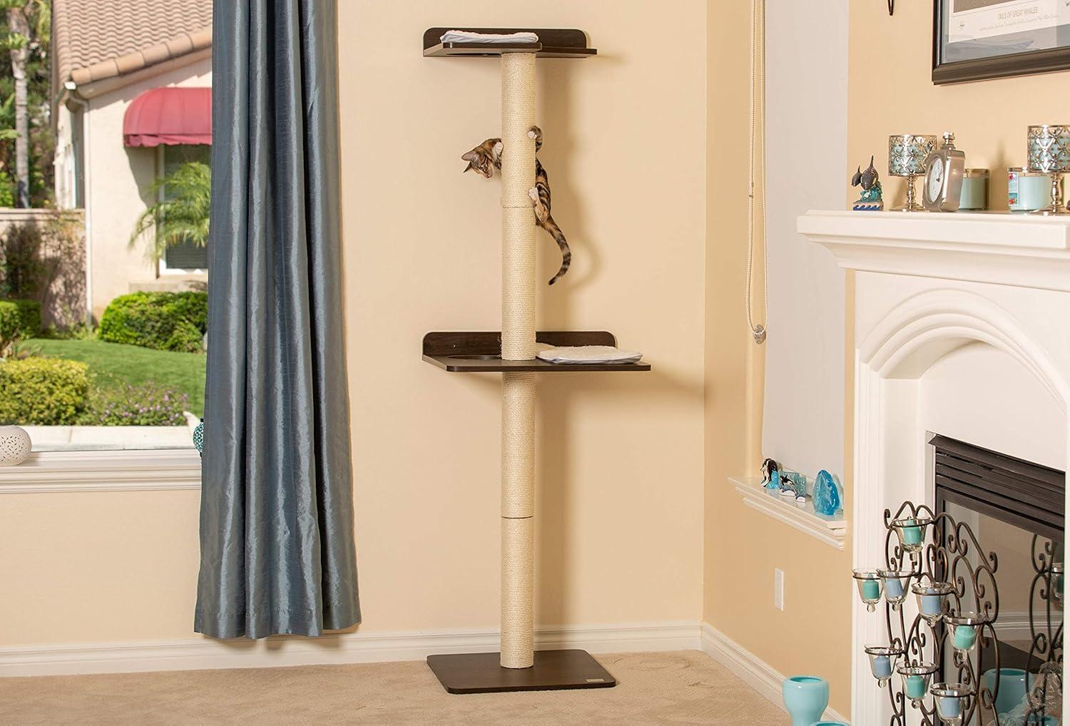 The Ultimate Cat Climber