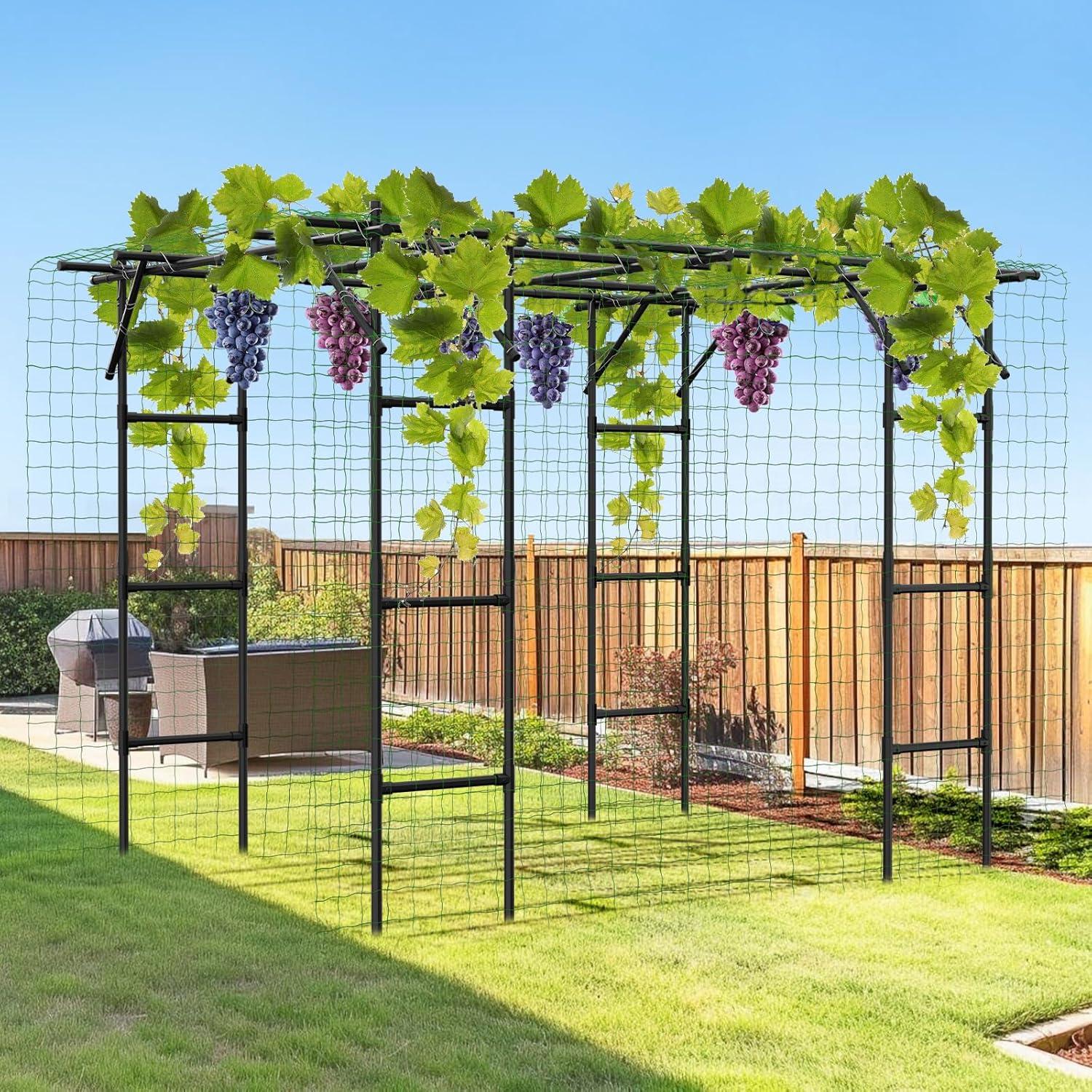 ShangQuan WuLiu Tall Garden Arch Trellis For Climbing Plants, Large Grape Vine Support Arch Arbor Trellis