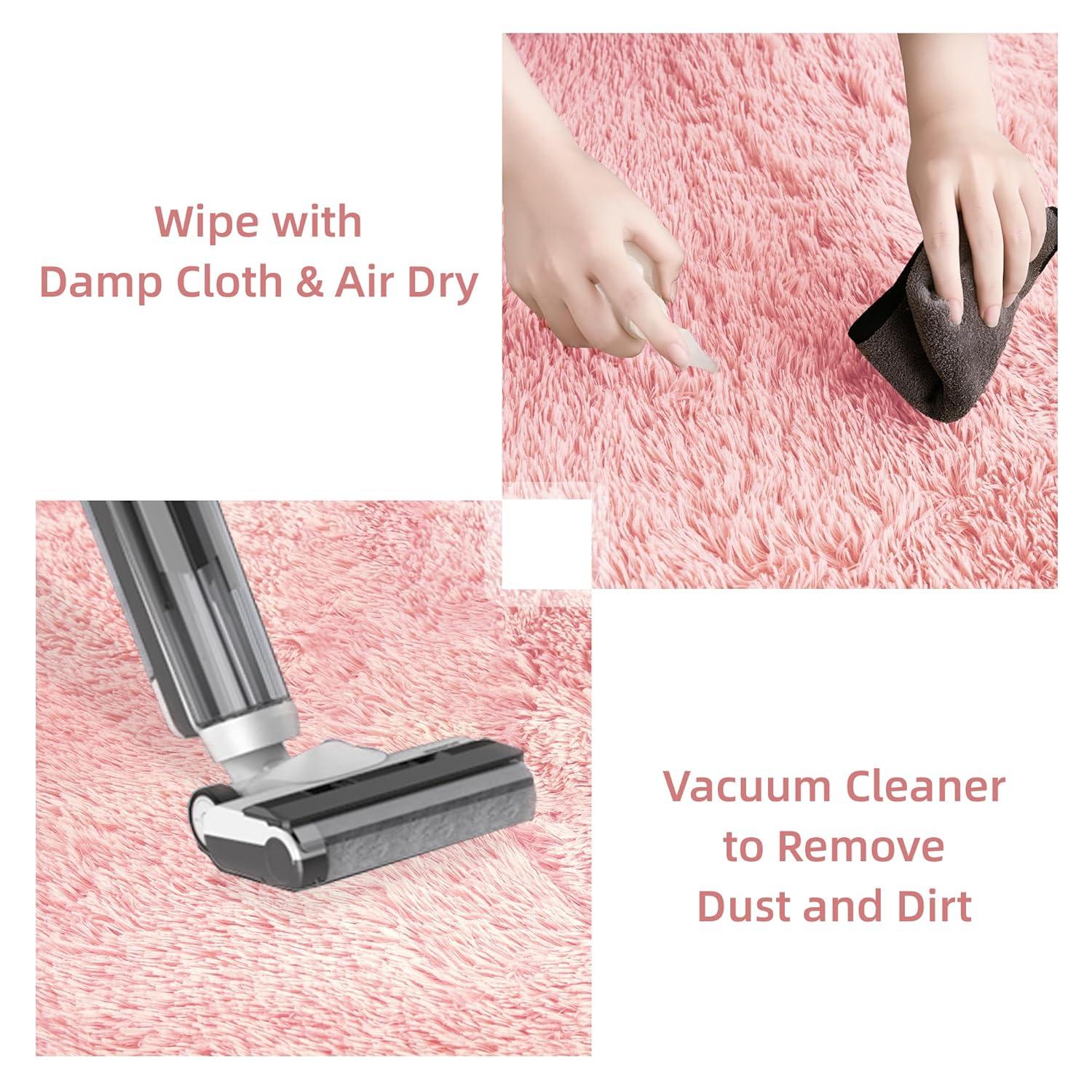 Litanika 4x6 Shag Area Rug for Living Room Bedroom, Pink High Pile Soft Plush Shaggy Furry Cute Bedside Playroom Dorm Carpet, Non-Slip, Non-Shedding Modern Indoor Floor Rug