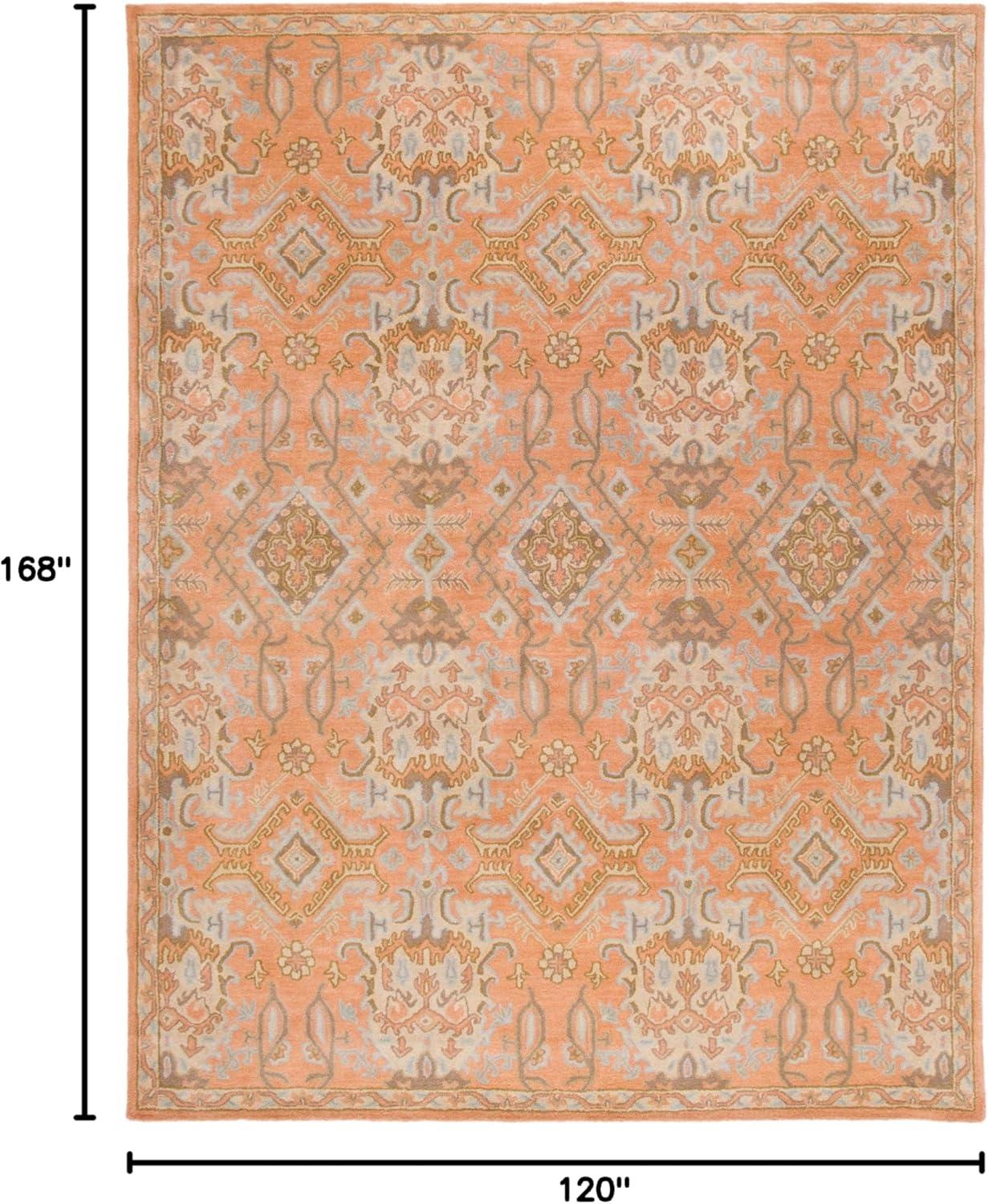 SAFAVIEH Wyndham Jocelyne Traditional Wool Area Rug, Terracotta, 10' x 14'