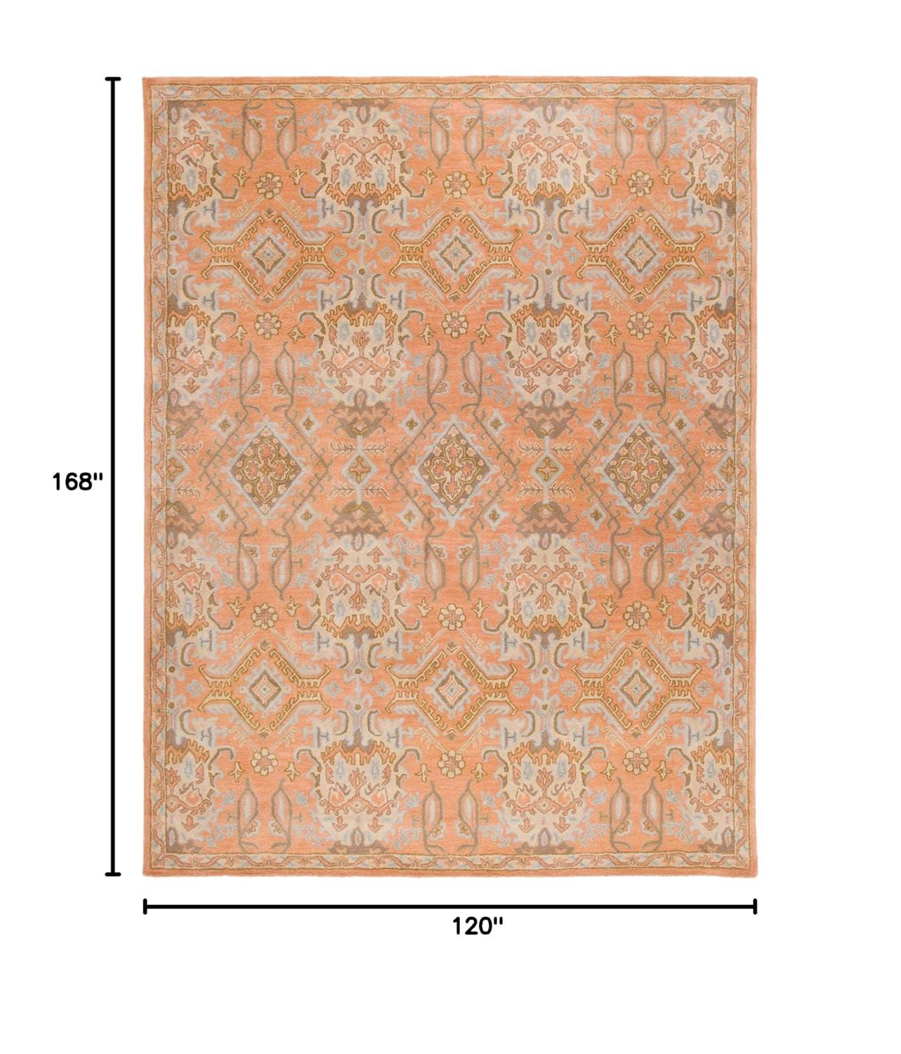 SAFAVIEH Wyndham Jocelyne Traditional Wool Area Rug, Terracotta, 10' x 14'