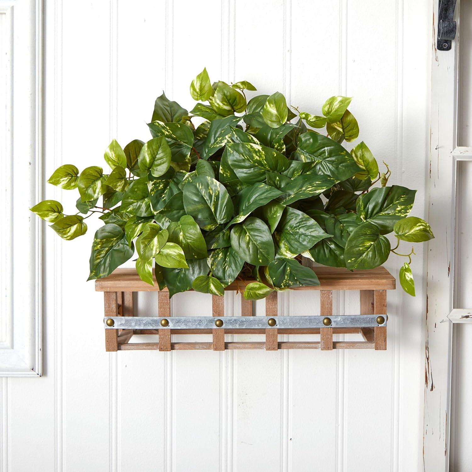 Primrue Pothos Ledge Plant (Set on Foam) Silk Plant