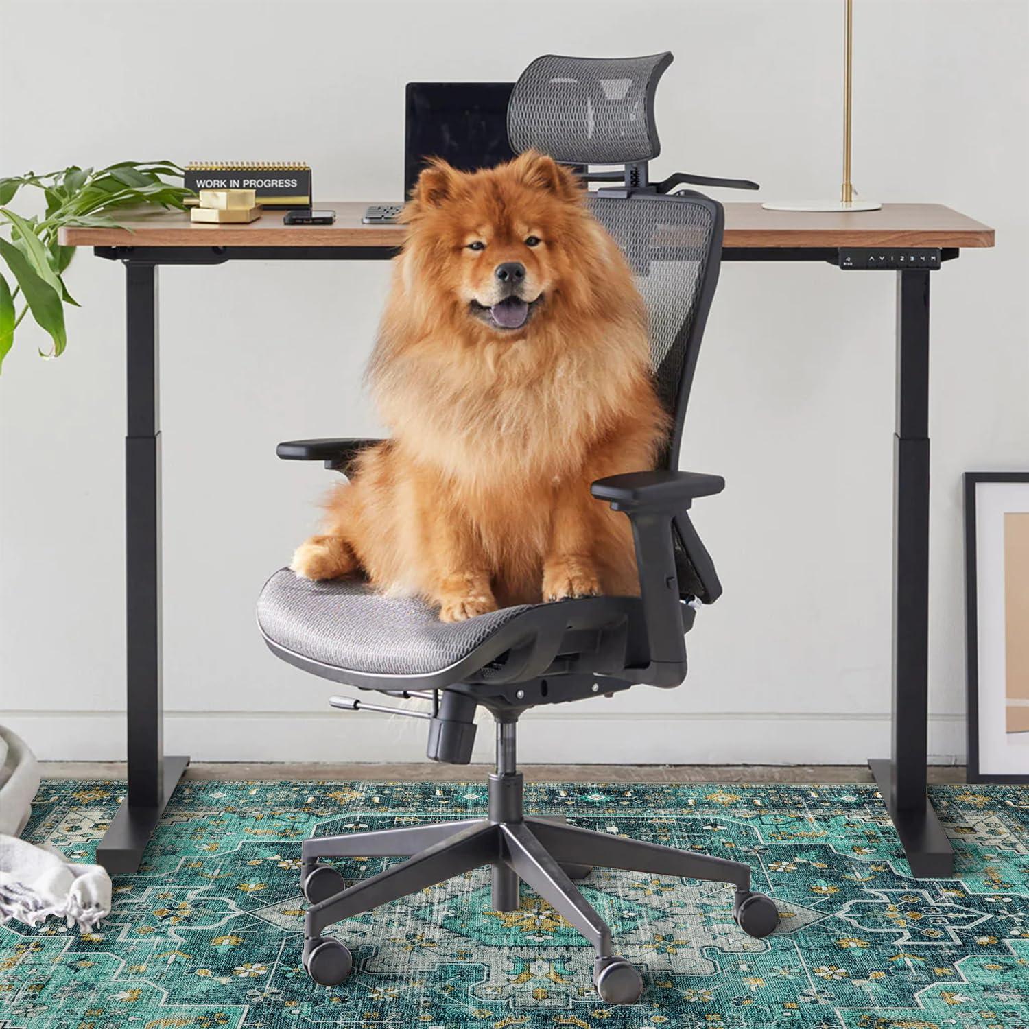 Anidaroel 36"x48" Chair Mat for Hardwood Floor/Tile Floor, Desk Chair Mats for Hard Floors, Under Desk Rug Protector for Rolling Chair, Computer Gaming Chair Mat, Low Pile Carpet Floor Mat