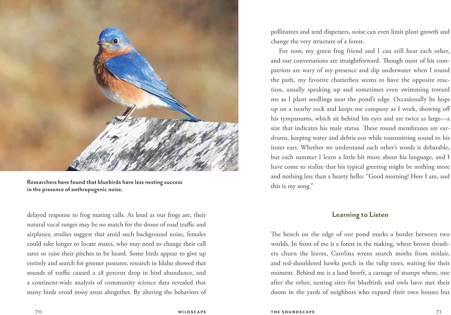 Wildscape Hardcover Book: Sensory Wonders of Nature