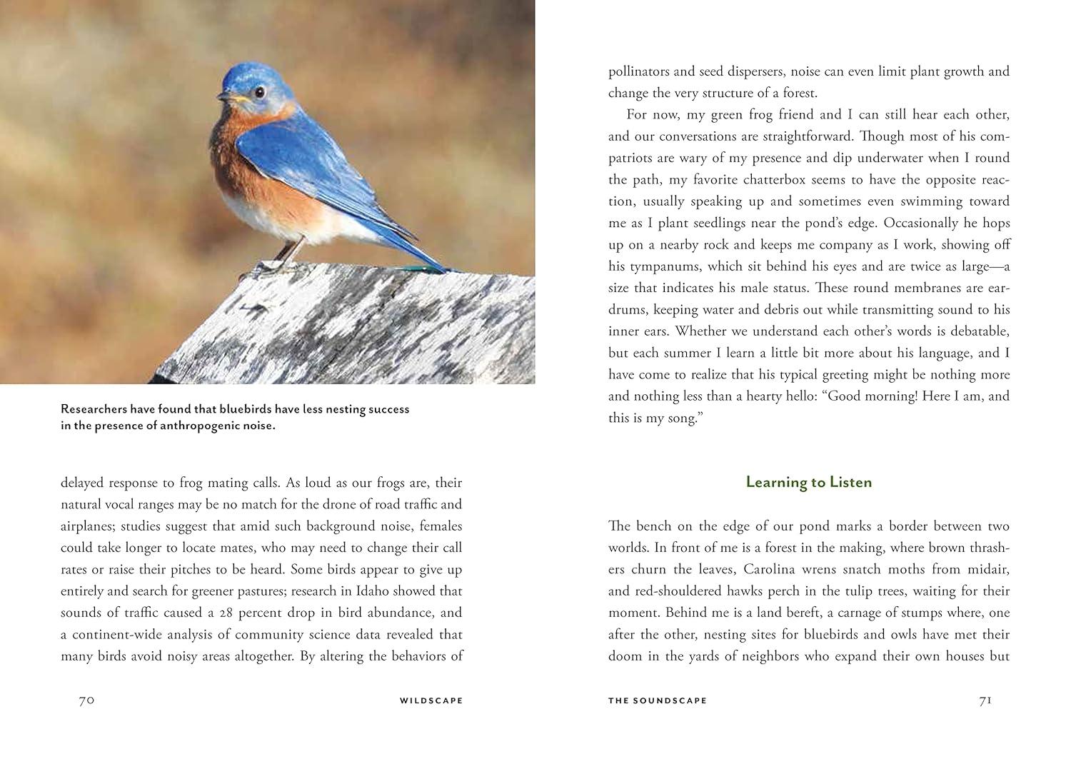 Wildscape Hardcover Book: Sensory Wonders of Nature