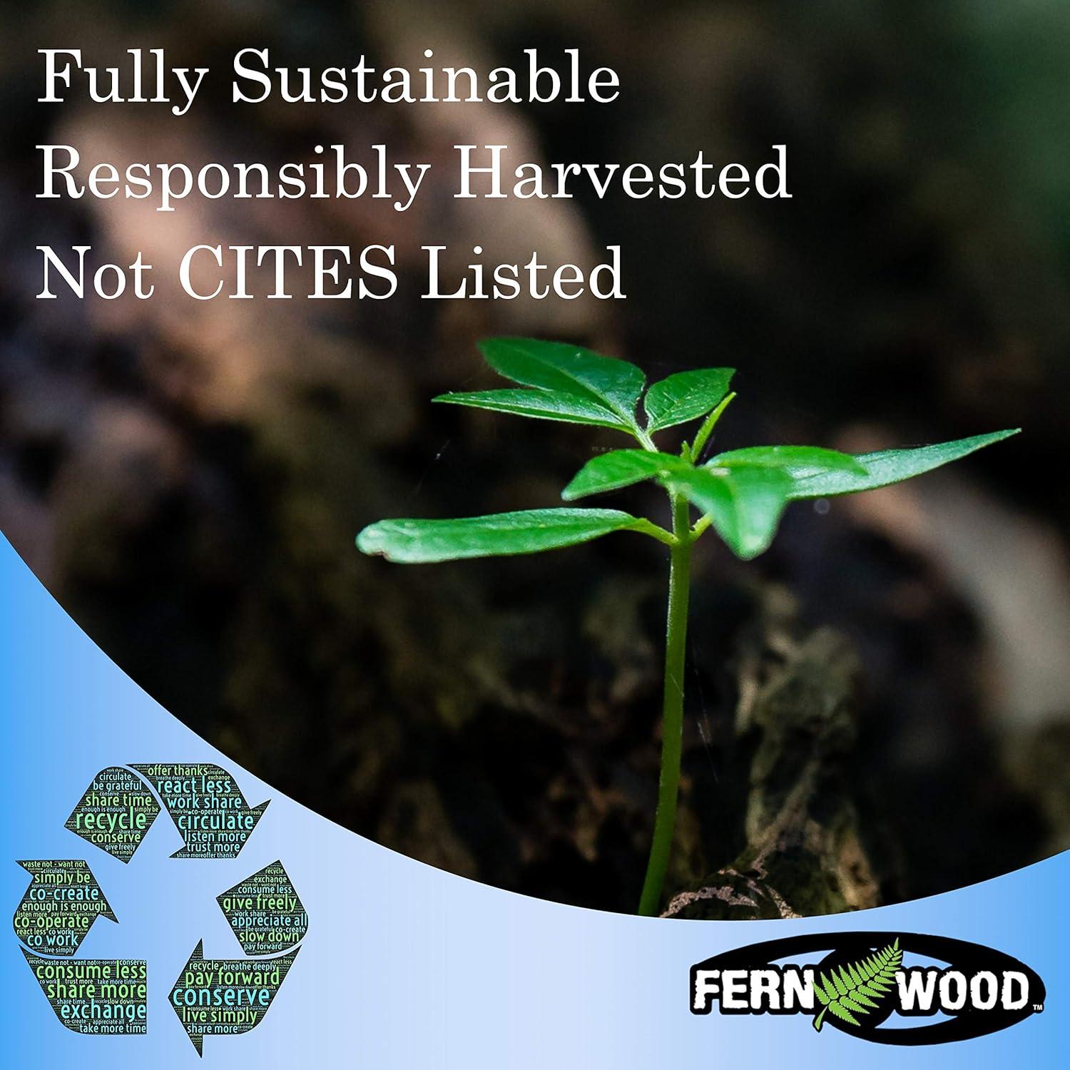 Fern Wood New Zealand Tree Fern Tropical Background Panel 18x6x0.6 Twin Pack