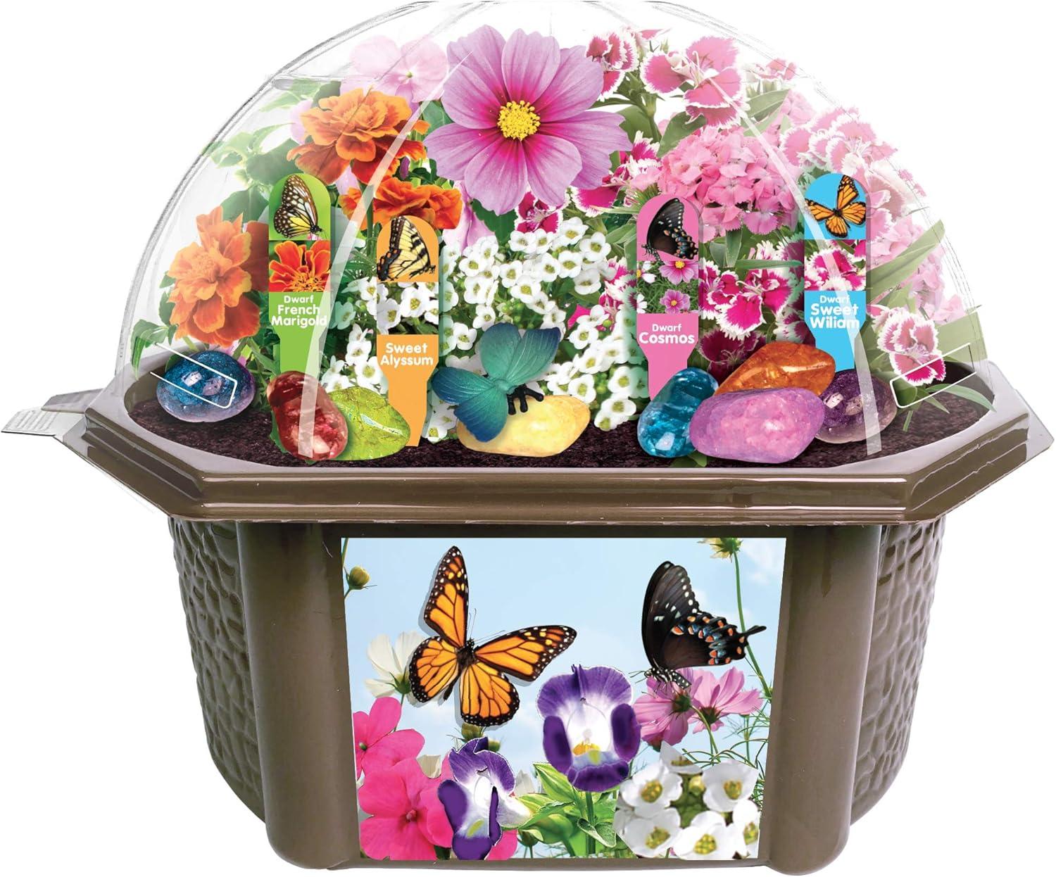 Toys By Nature: Butterfly Garden - DIY Terrarium Kit, Create Habitat