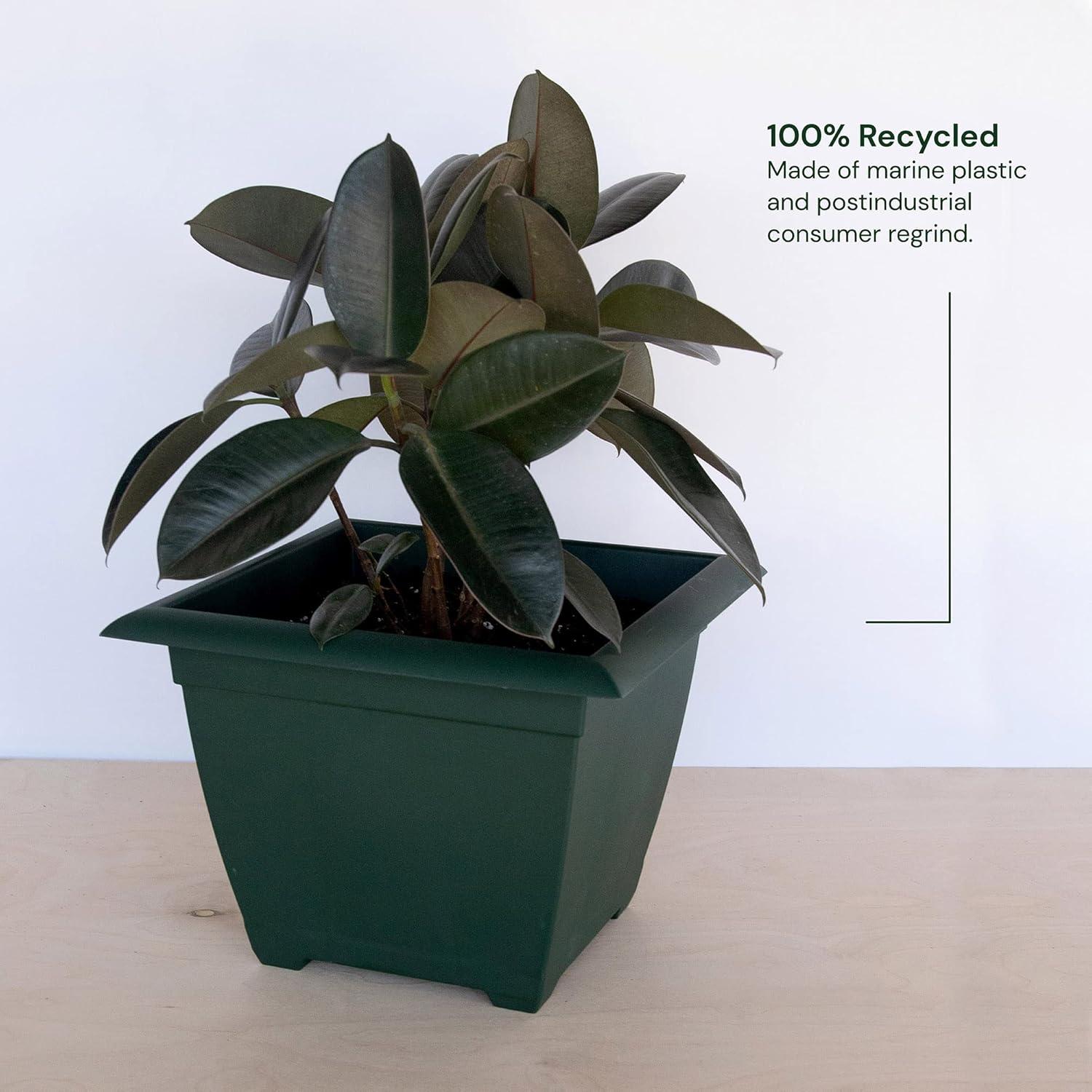 Dayton Recycled Plastic Square Box Planter