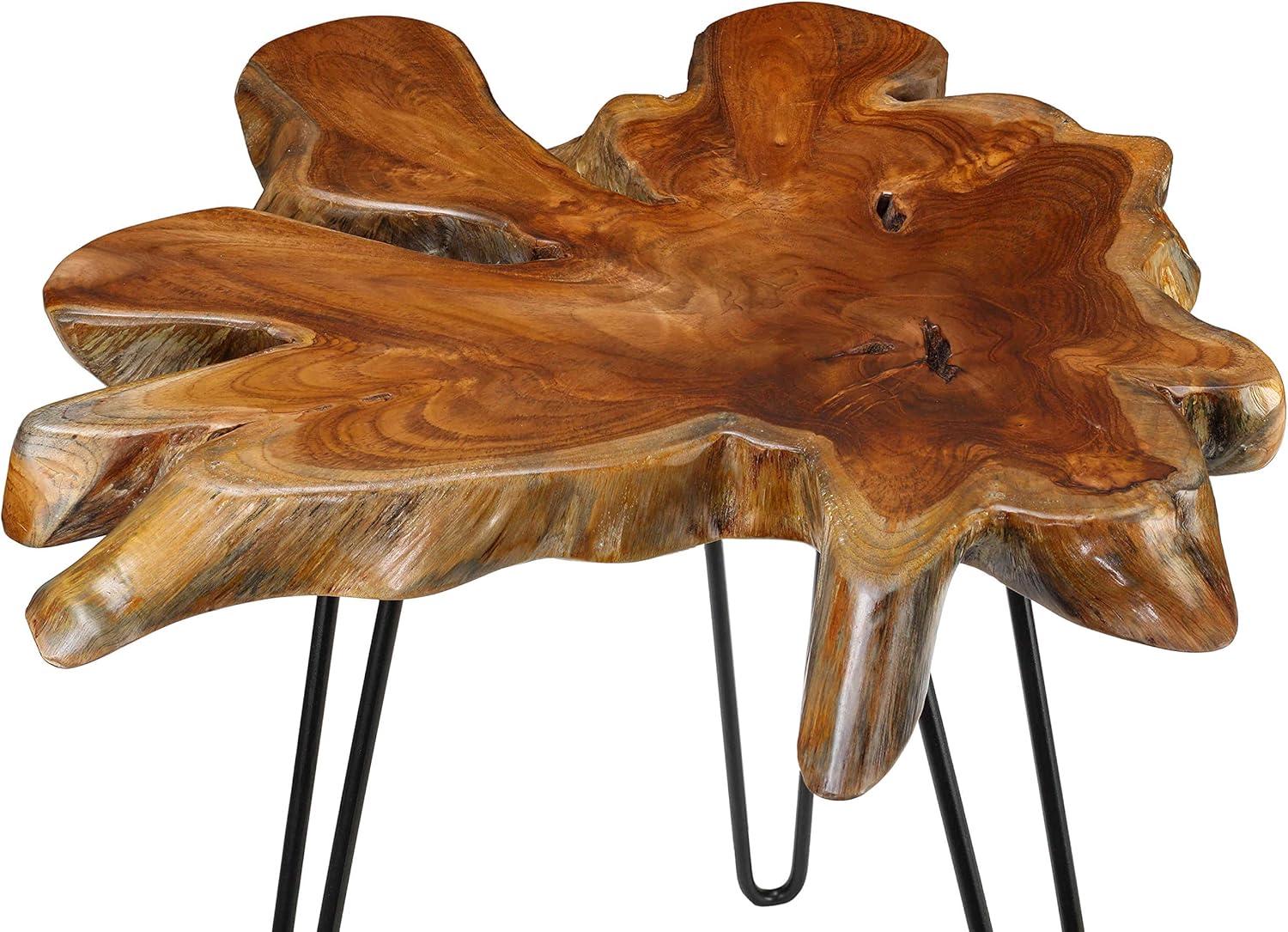 Bare Decor  Evan Accent End Table with Solid Teak Root Top