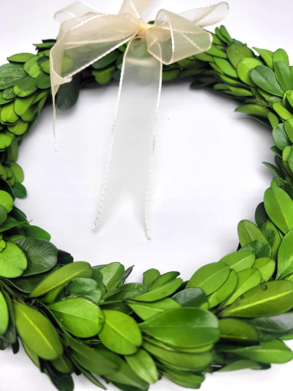 Ophelia & Co. Preserved Mixed Assortment 8'' Wreath (Set of 3)