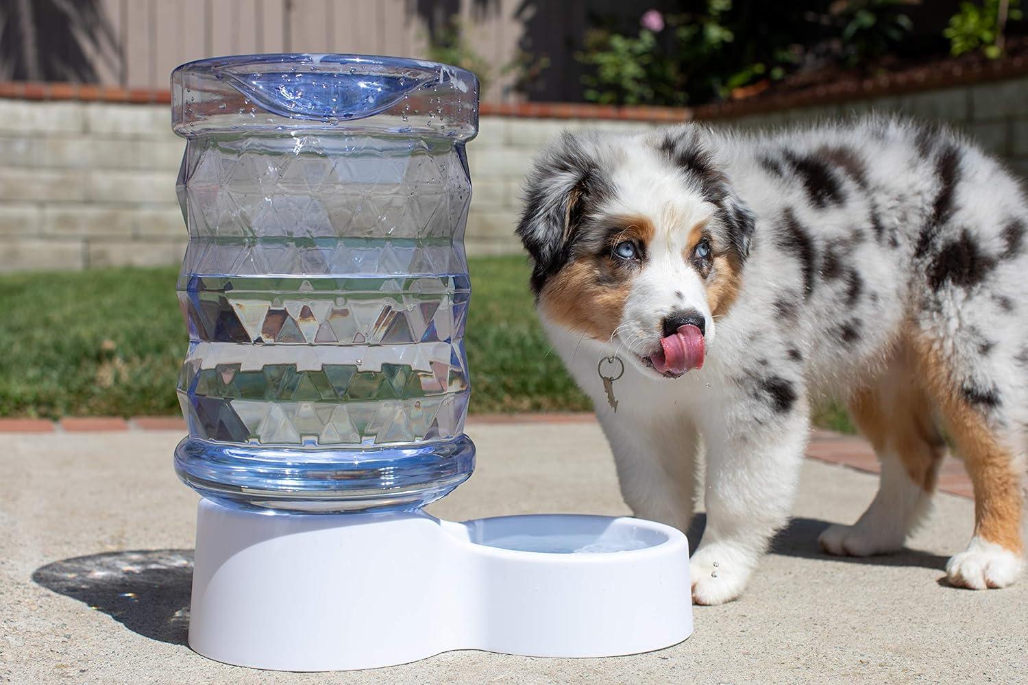 20oz. Automatic Water Dish