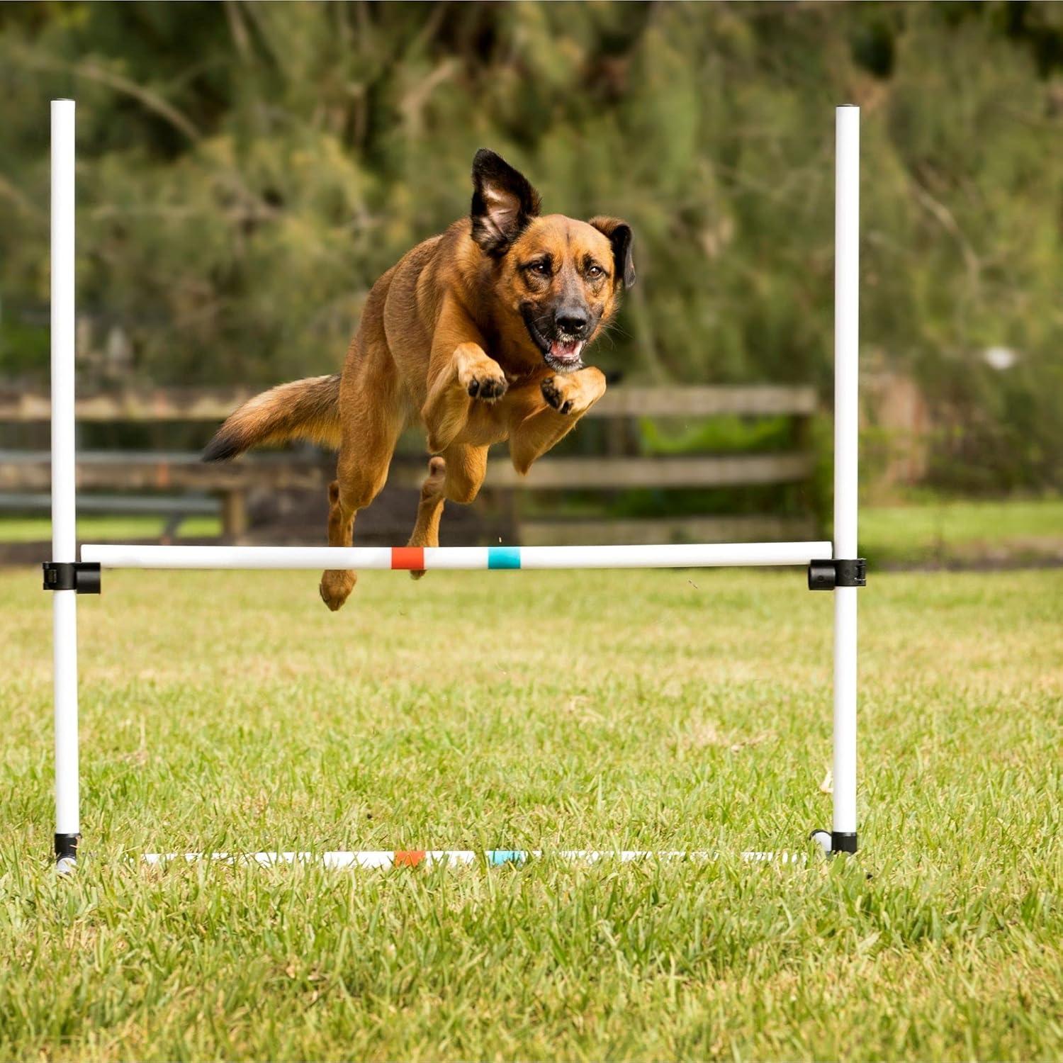 Midlee Dog Agility Bar Jumps- Set of 4 Jumps