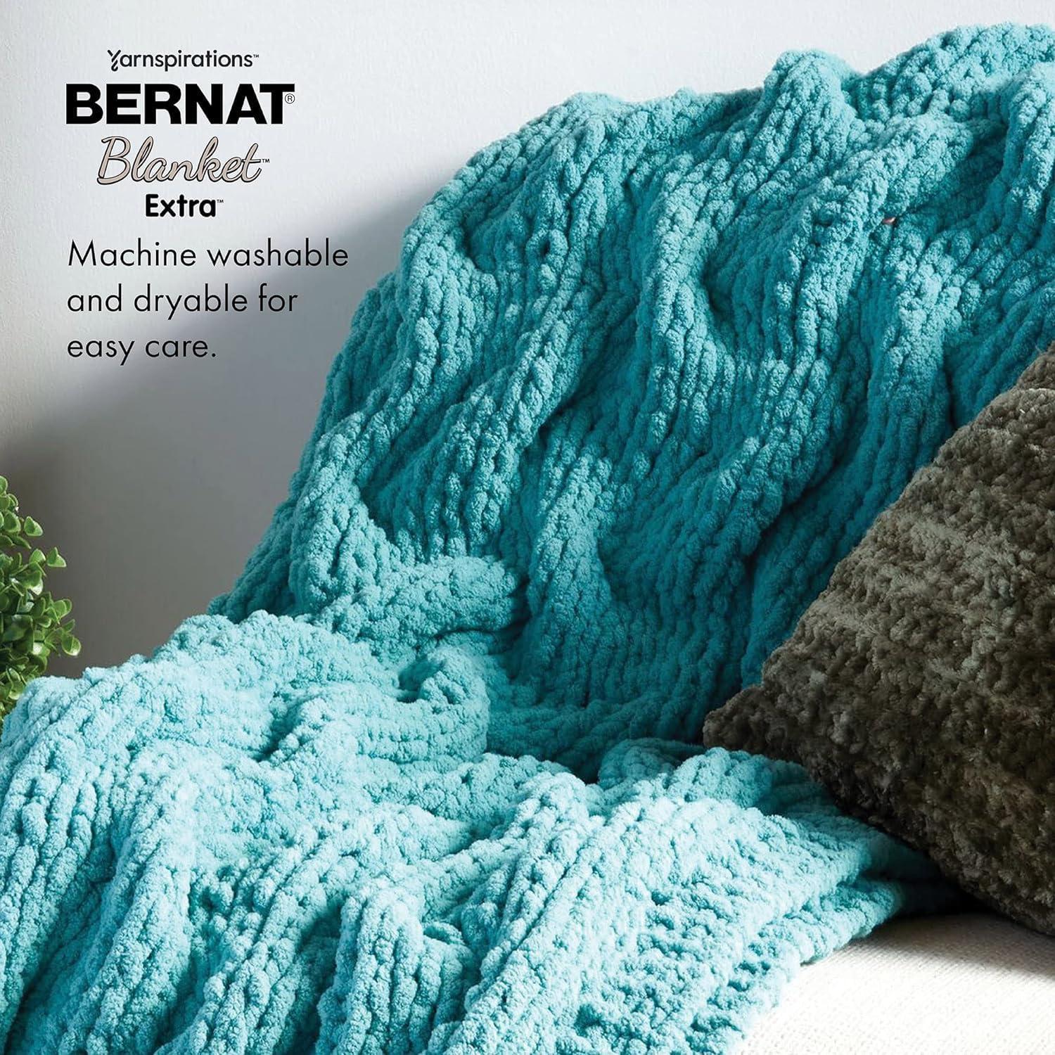 Bernat Blanket Extra Yarn