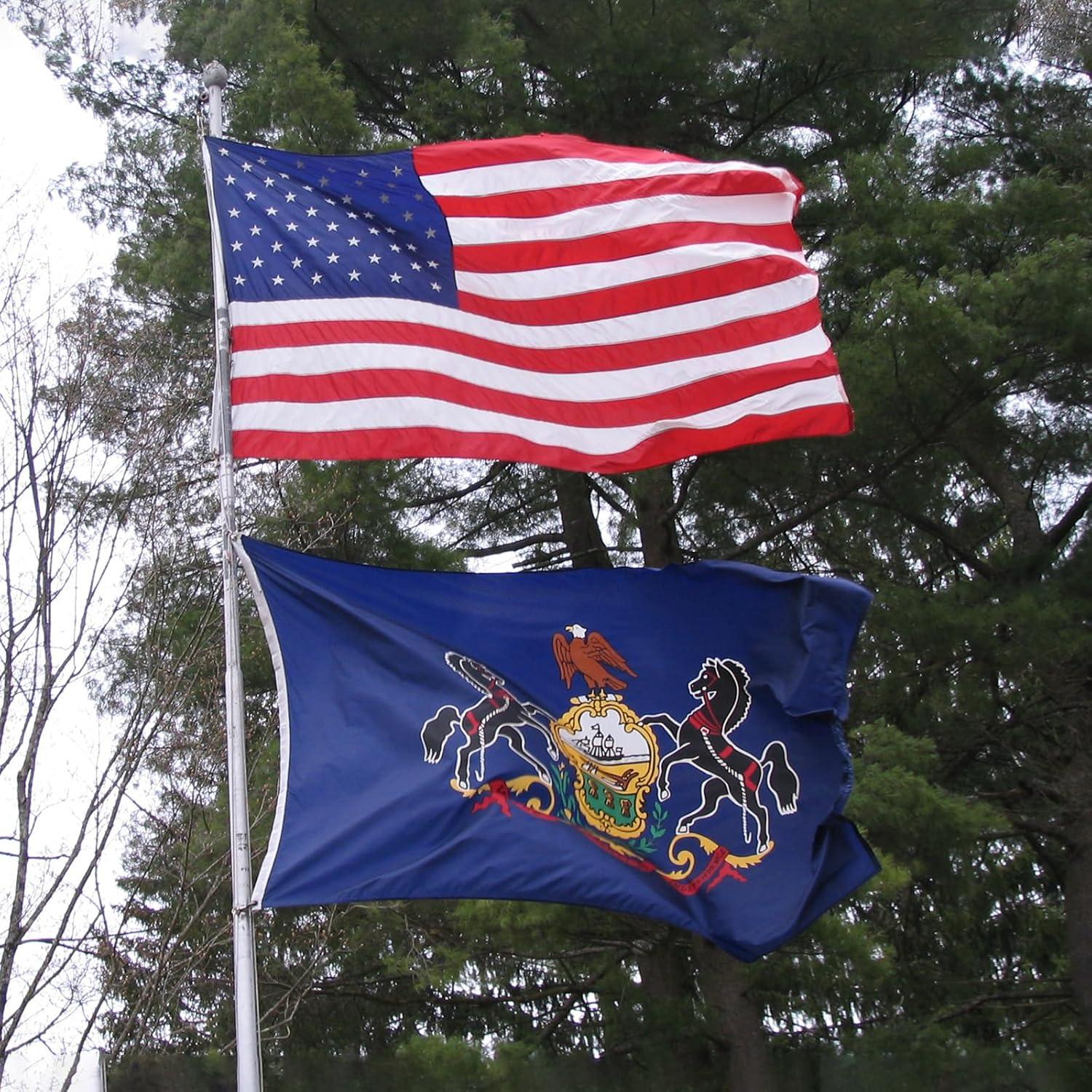 A.G.A.S 3x5 Ft Polyester Outdoor Flag