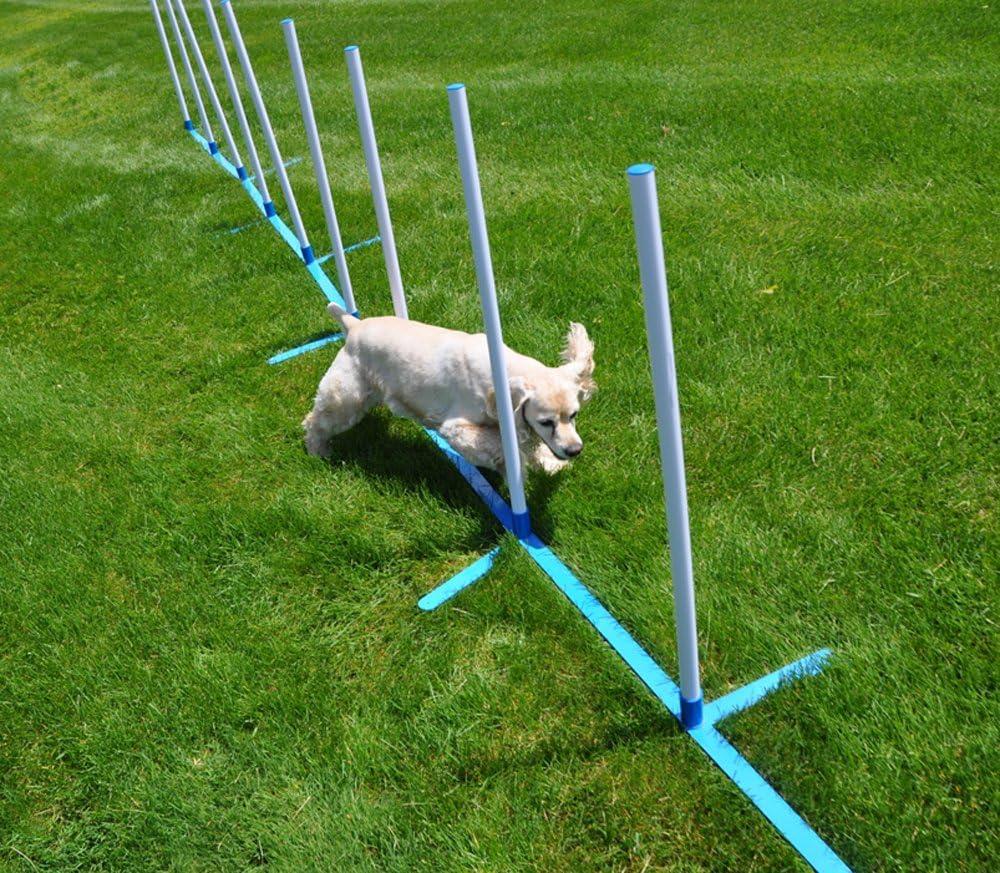 Cool Runners Agility Weave Poles Adjustable 6 Pole Set with Carrying Case and Grass Stakes, Blue/Yellow, 1 Count (Pack of 1)