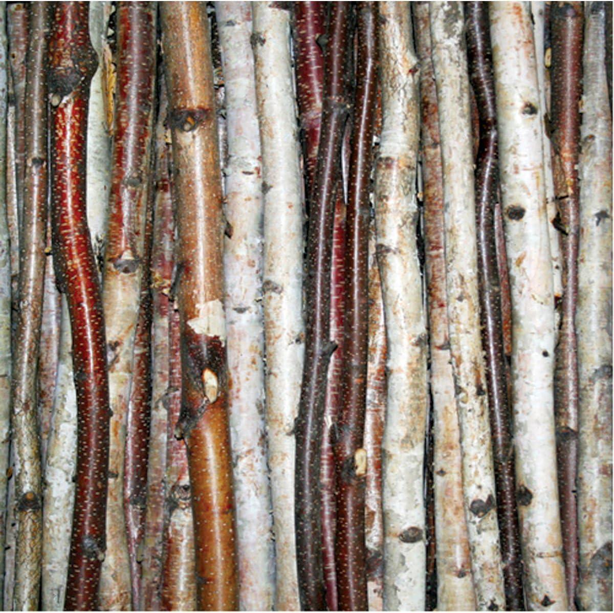 Natural White Birch Decorative Sticks 48" Set of 3