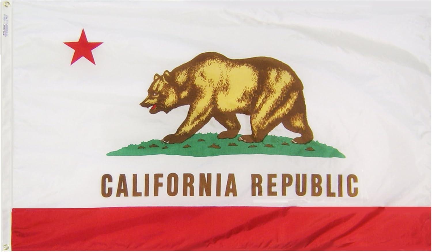 California State Flags 3x5FT,Heavy Duty 220D Nylon Flag, Vivid Colors,Calif. CA Flags Banners with 2 Brass Grommets for Indoor Outdoor. (California, 3x5)