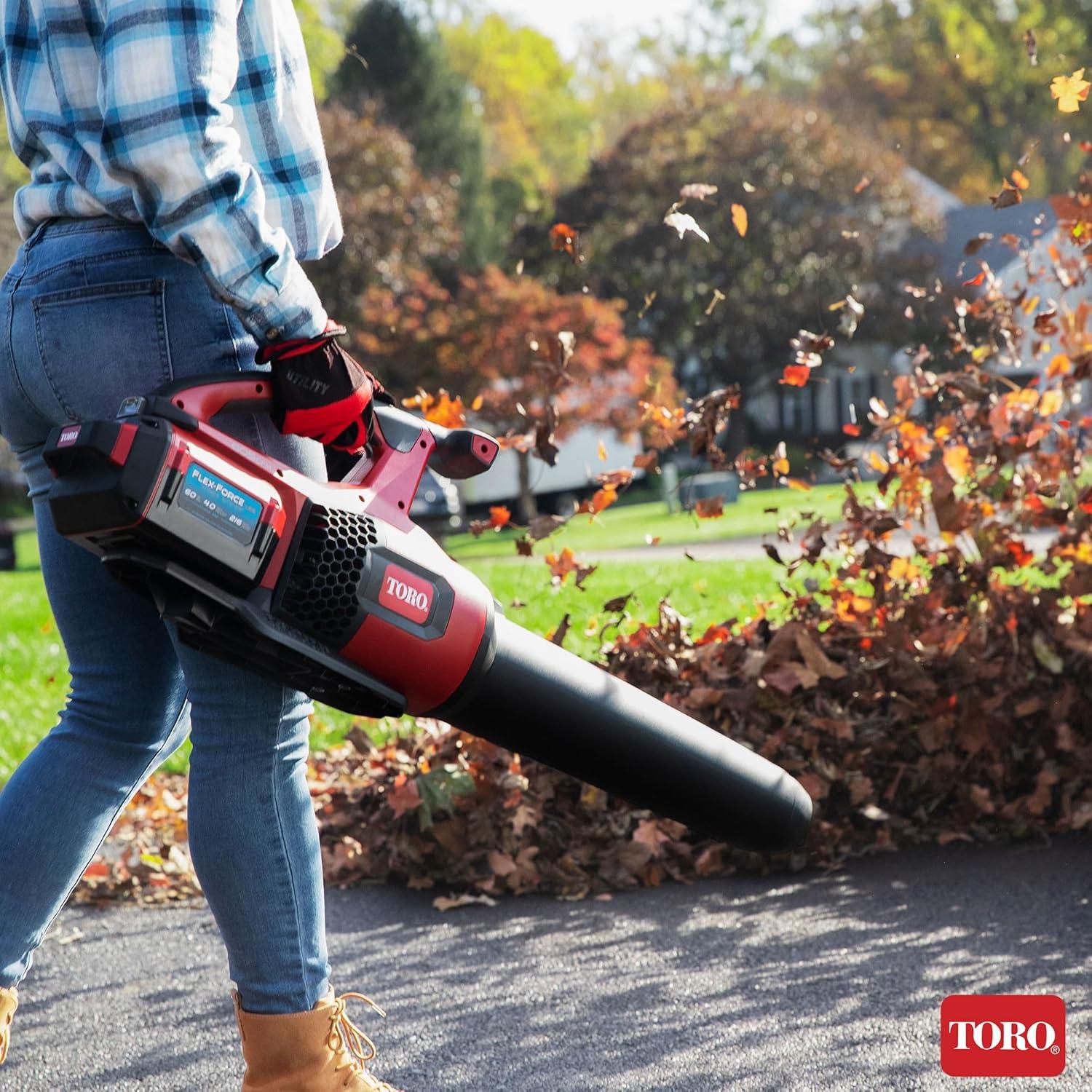 Toro 60 Volt Brushless Cordless Leaf Blower w/ 4 Ah Battery and Charger