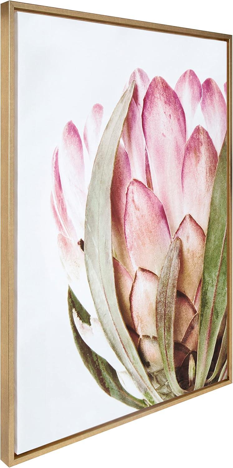 Kate and Laurel Sylvie Pink Protea Flower Framed Canvas Wall Art by Amy Peterson Art Studio, 28 x 38, Gold, Beautiful Wild Flower Art for Wall