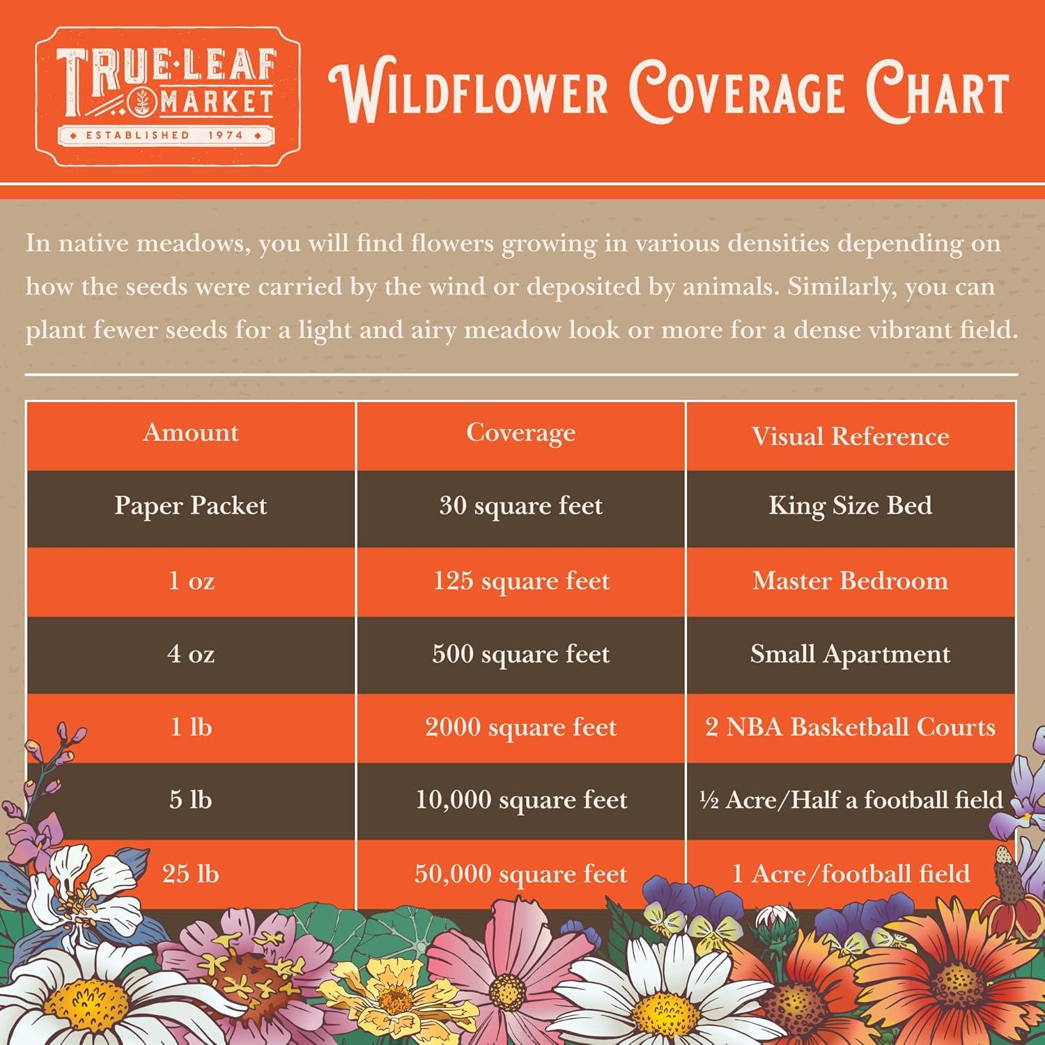 Mountain Valley Seed Company Rocky Mountain Wildflower Mix, 80,000 Flower Seeds, 18 Assorted