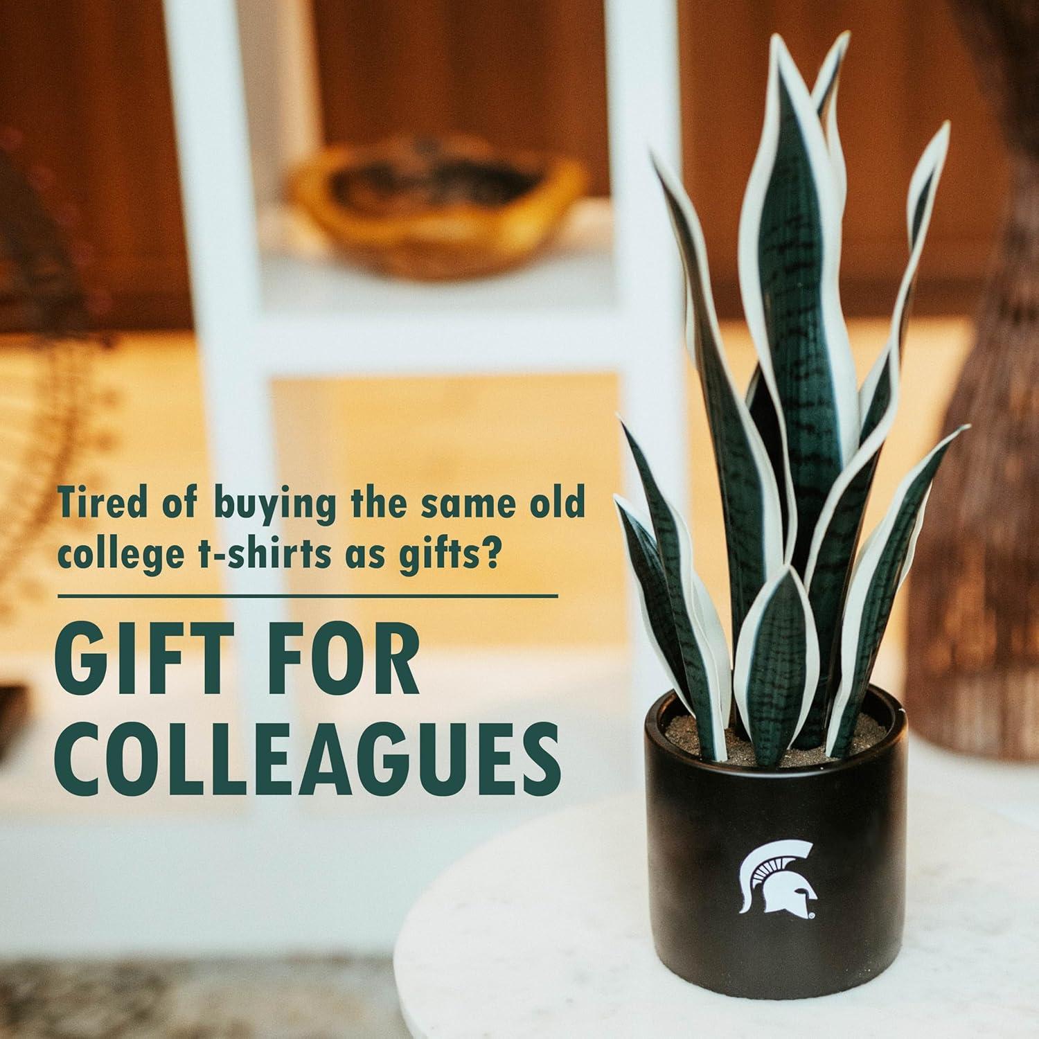 18'' Faux Snake Plant (Sansevieria) Plant