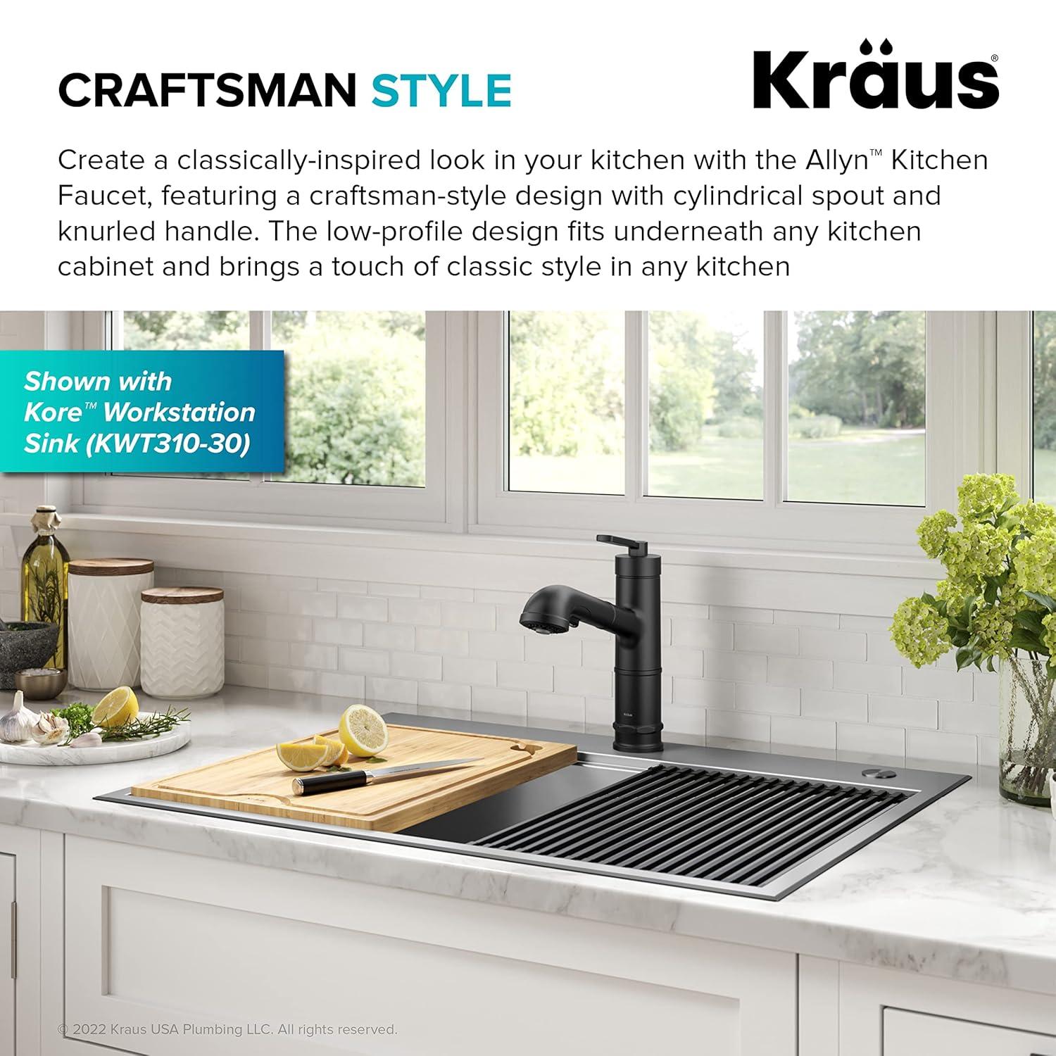 Allyn Pull-Out Single Handle Kitchen Faucet