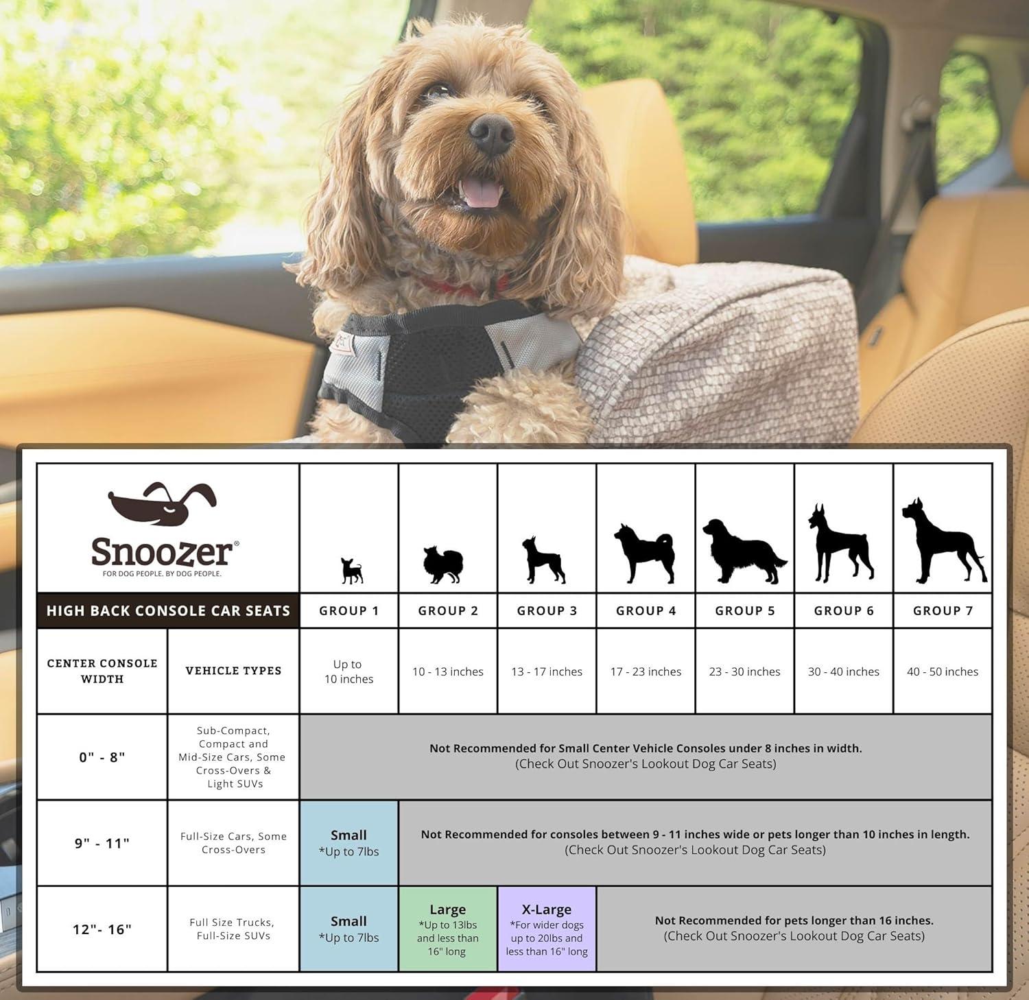 Small Black Soft-Sided Dog Carrier with Adjustable Strap