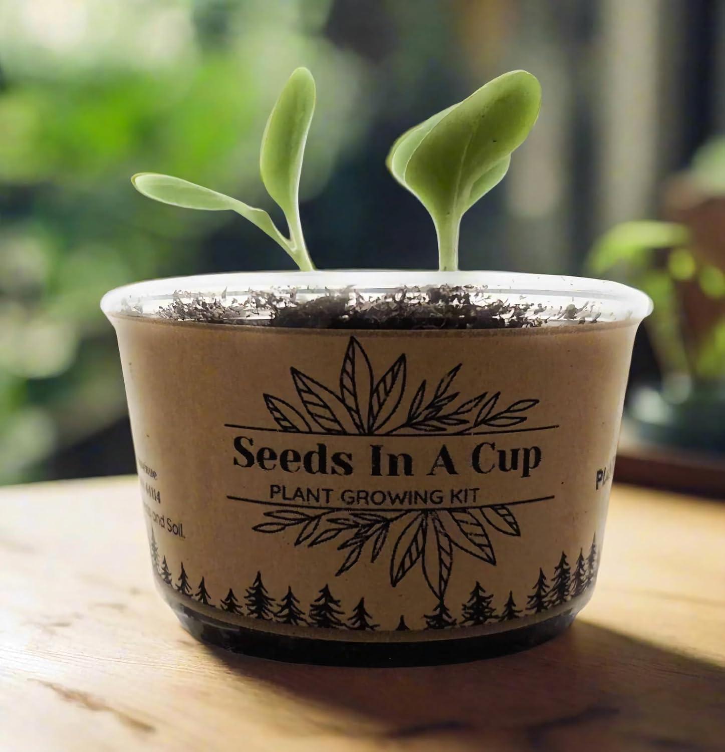 Seeds in a Cup Tree Starter Kit with Premium Soil