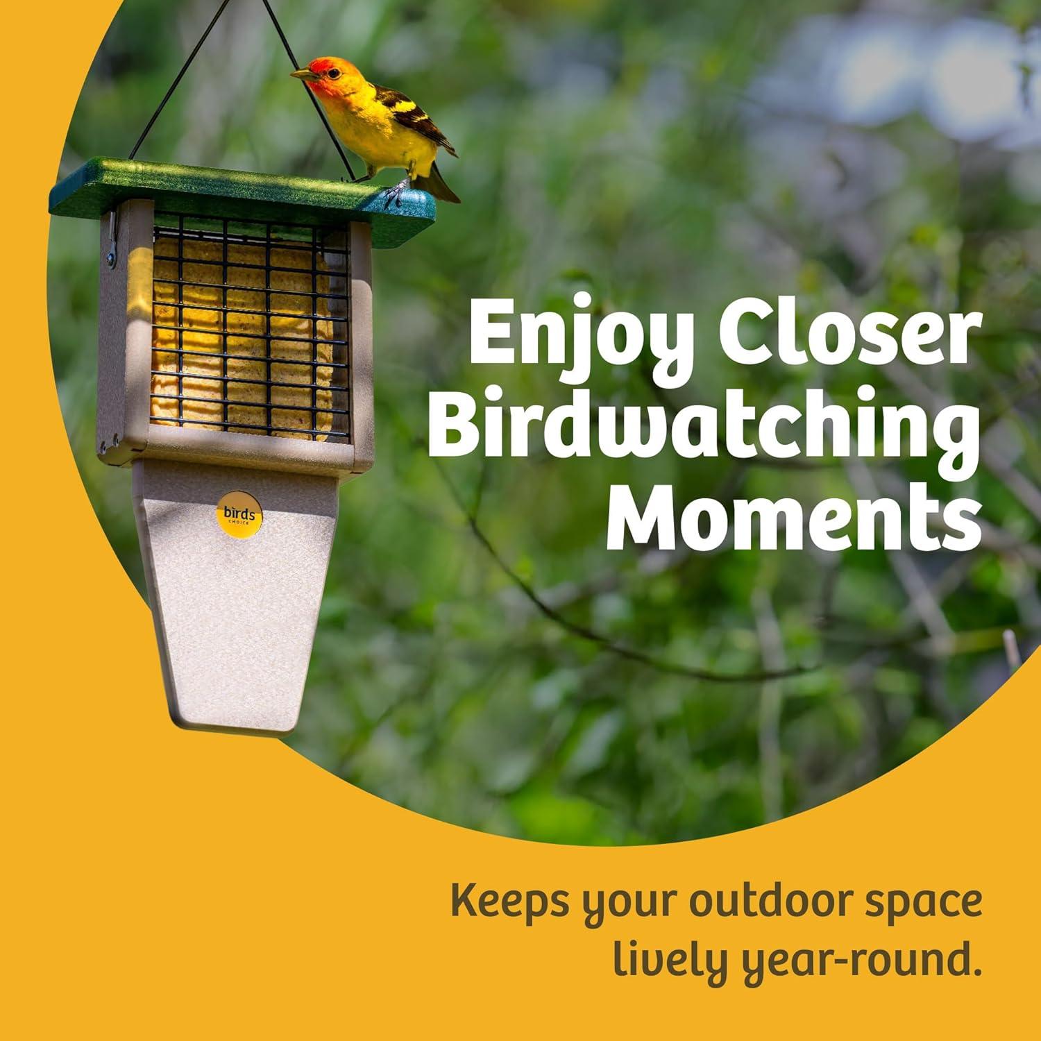 Birds Choice Birds Choice 12" Recycled Single Cake Tail Prop Suet Feeder, Taupe/Green