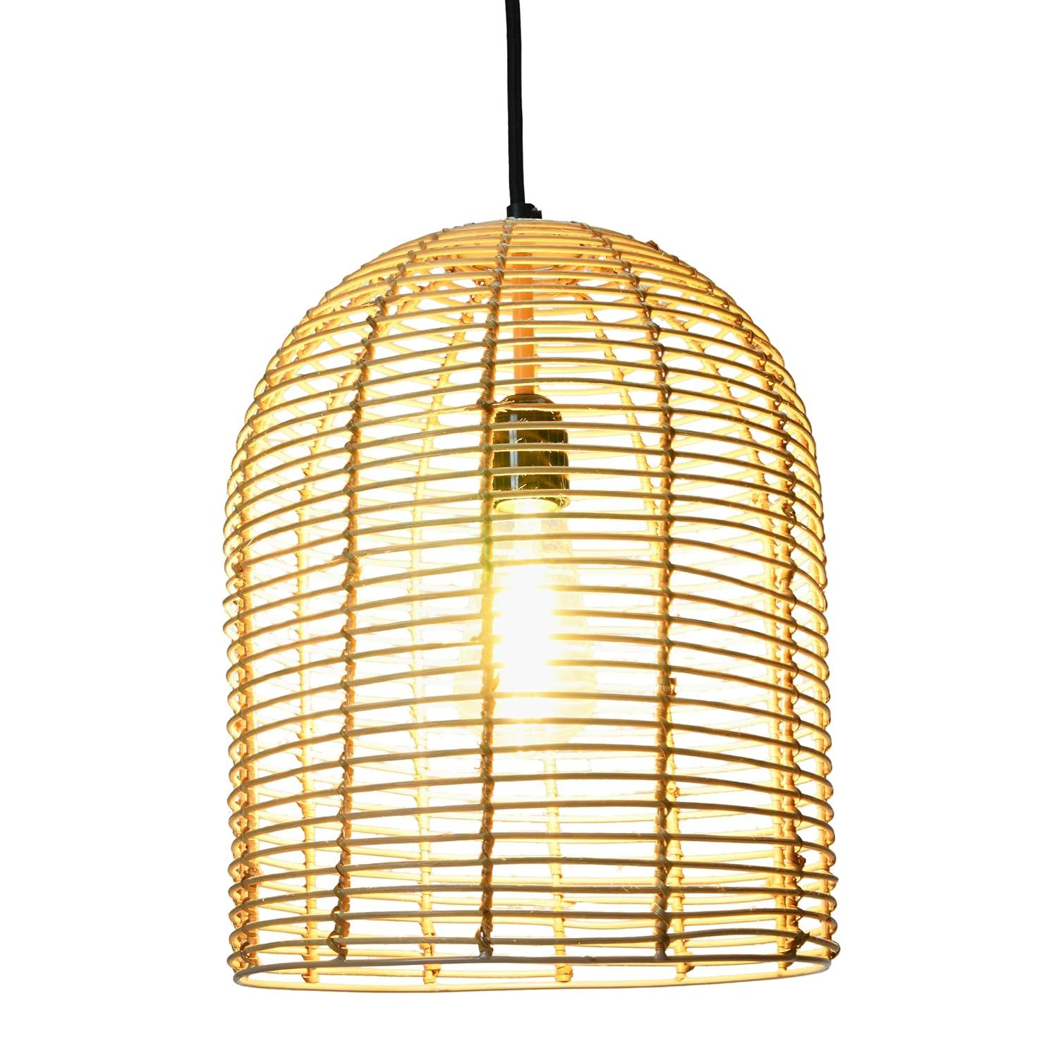 Creative Co-Op Modern Canopy Pendant Light
