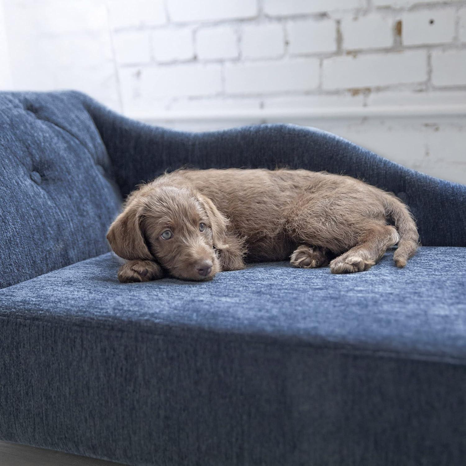 Solana Chaise Furniture Dog Sofa