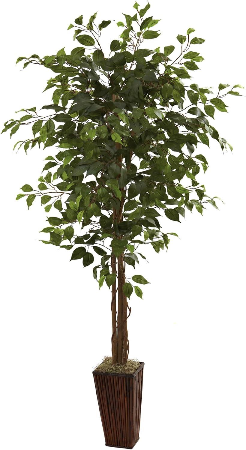 Lush 6' Ficus Floor Plant in Elegant Bamboo Planter