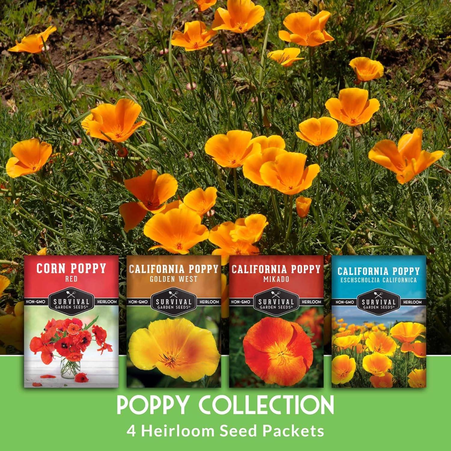 4 Packs Poppy Flower Seed - California, Golden West, Mikado, Red Corn - Full Sun Annual
