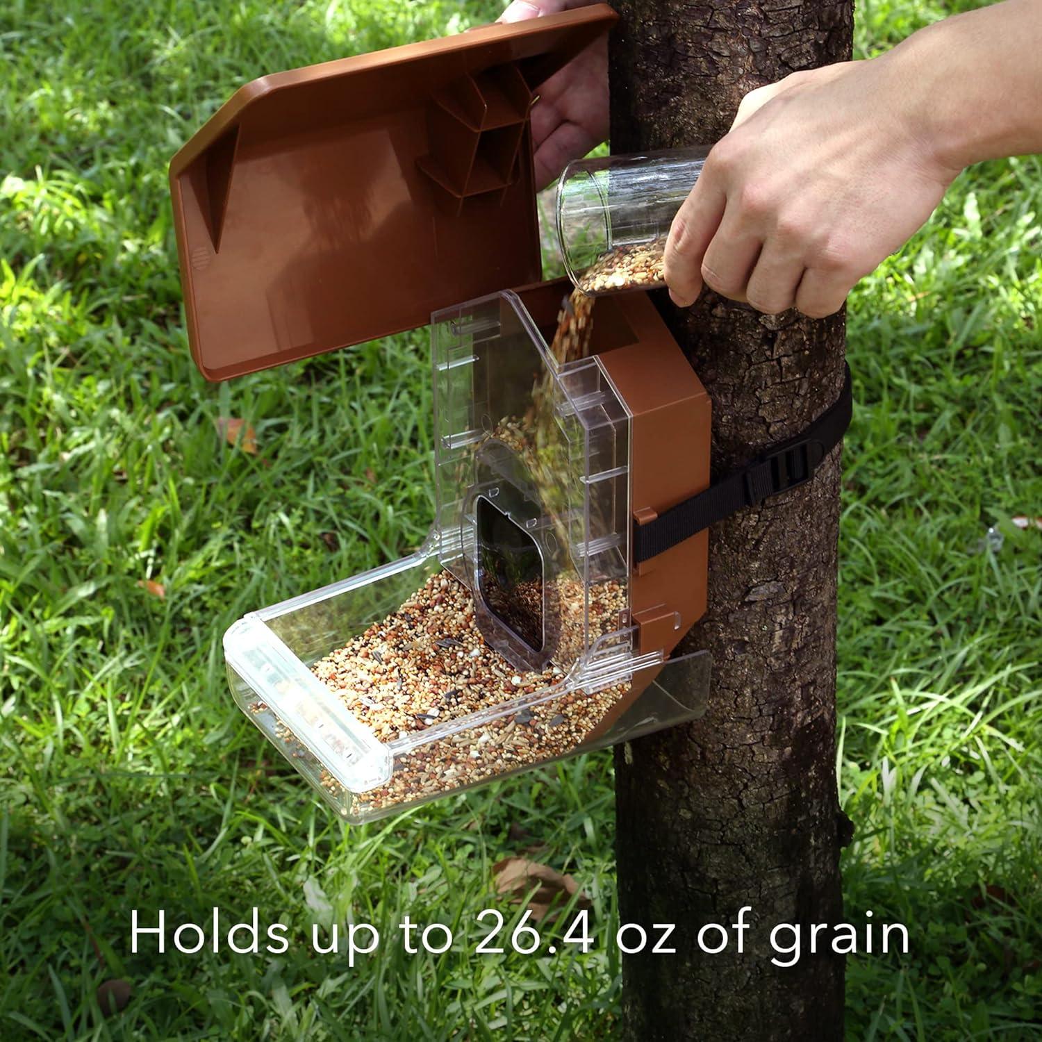Wasserstein Bird Feeder Camera Case Compatible with Blink, Wyze, and Ring Cam - Bird Feeder for Bird Watching with Your Security Cam - (Camera NOT Included)
