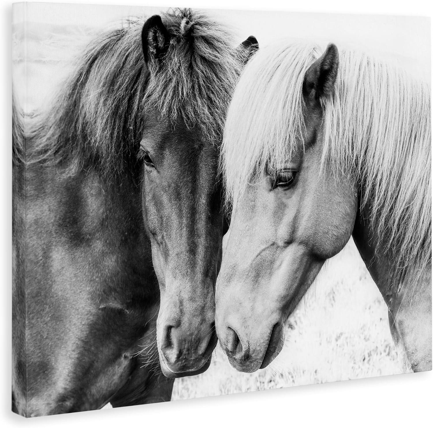 Stupell Industries " Horse Love Duo Portrait " by Sisi And Seb