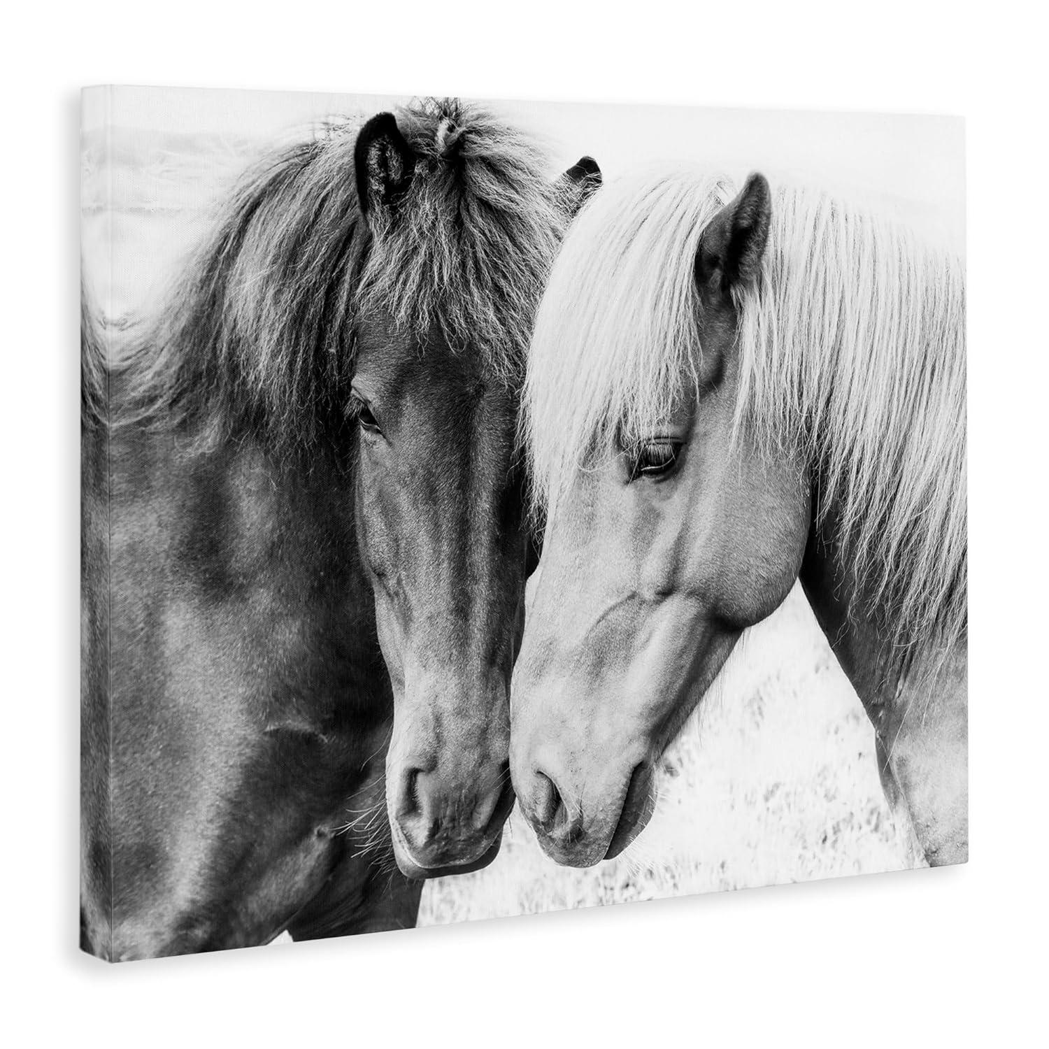 Stupell Industries " Horse Love Duo Portrait " by Sisi And Seb