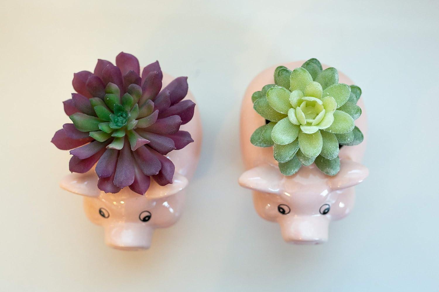 Flora Bunda Set of 2 Artificial Succulents in Pink Ceramic Pig Planters
